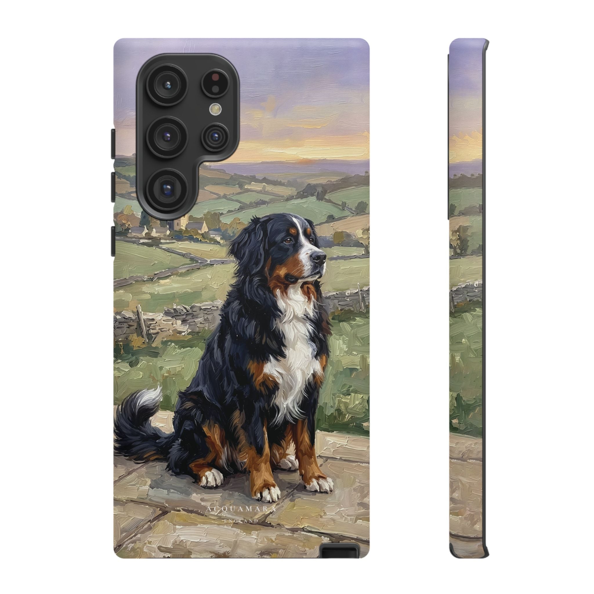 The Bernese Mountain Dog