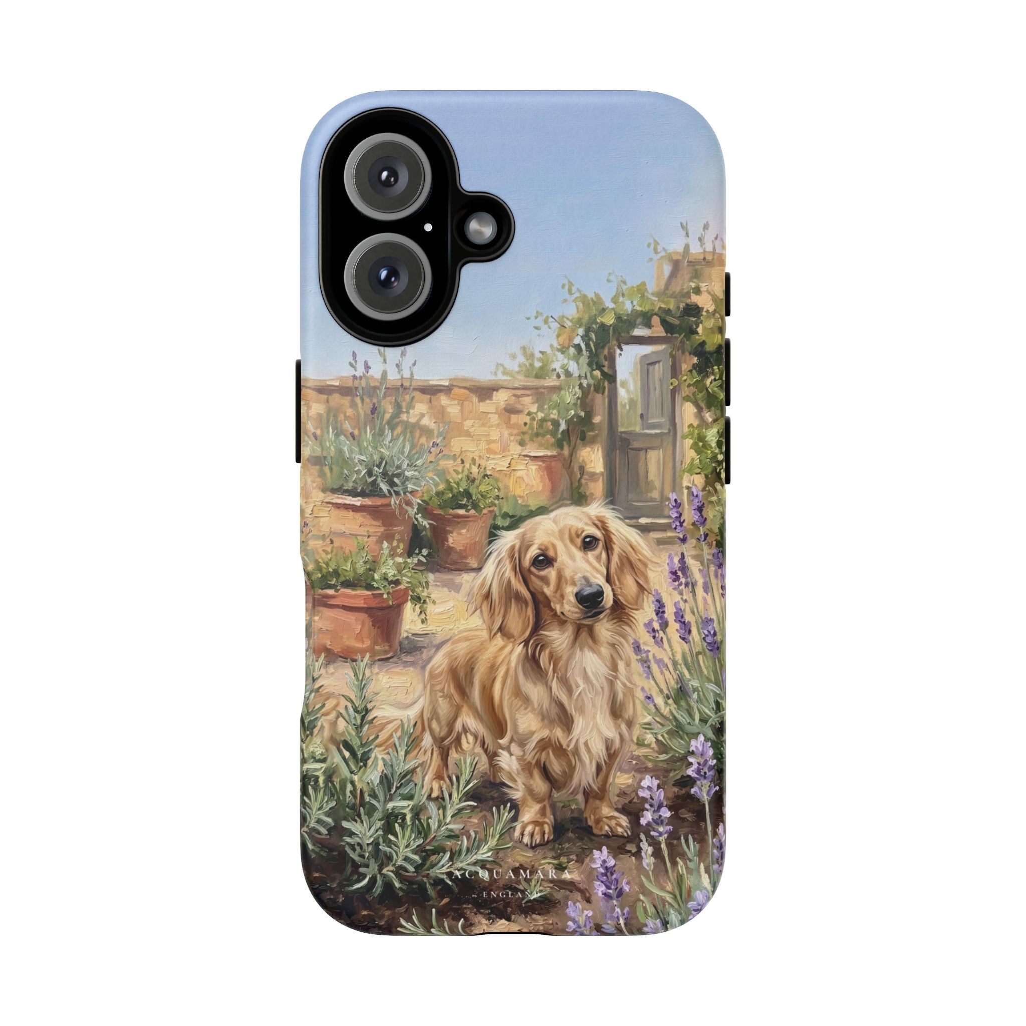 The Dachshund (Blonde long hair)