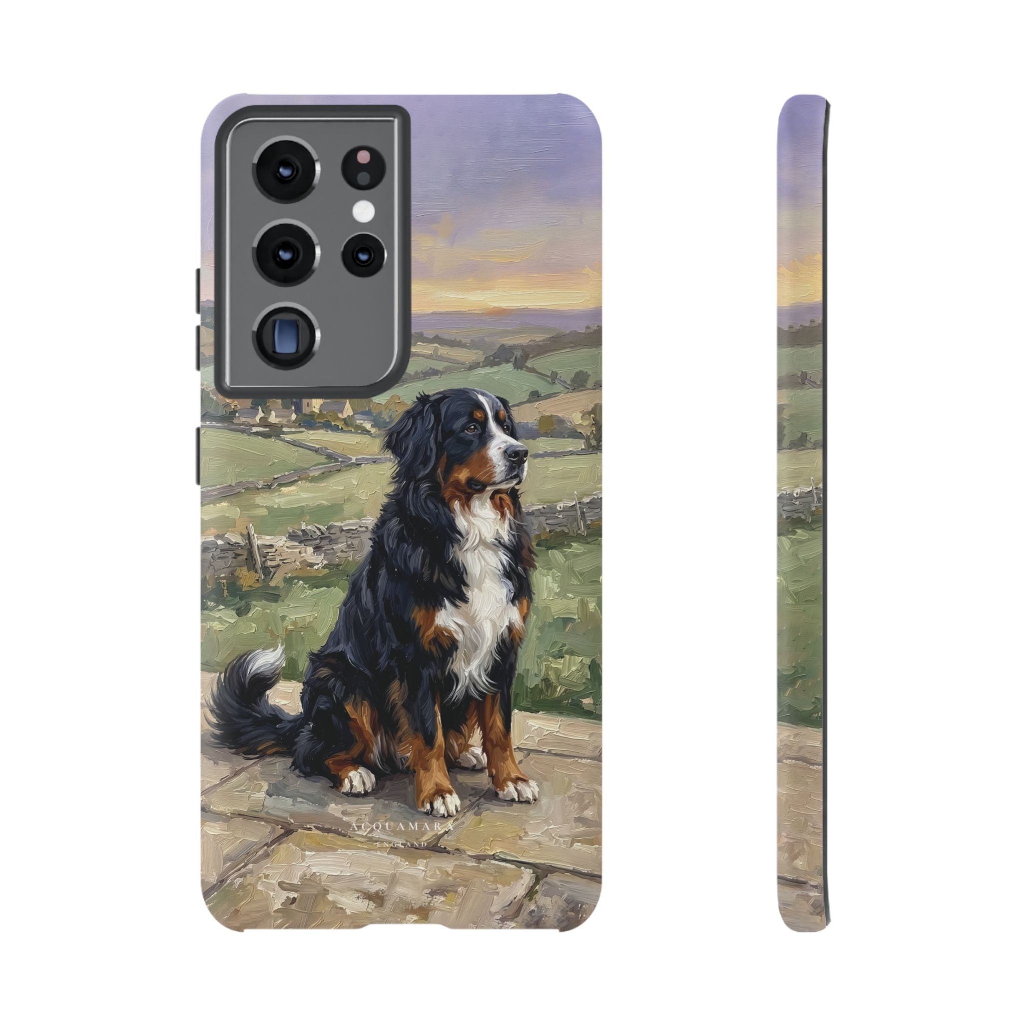 The Bernese Mountain Dog