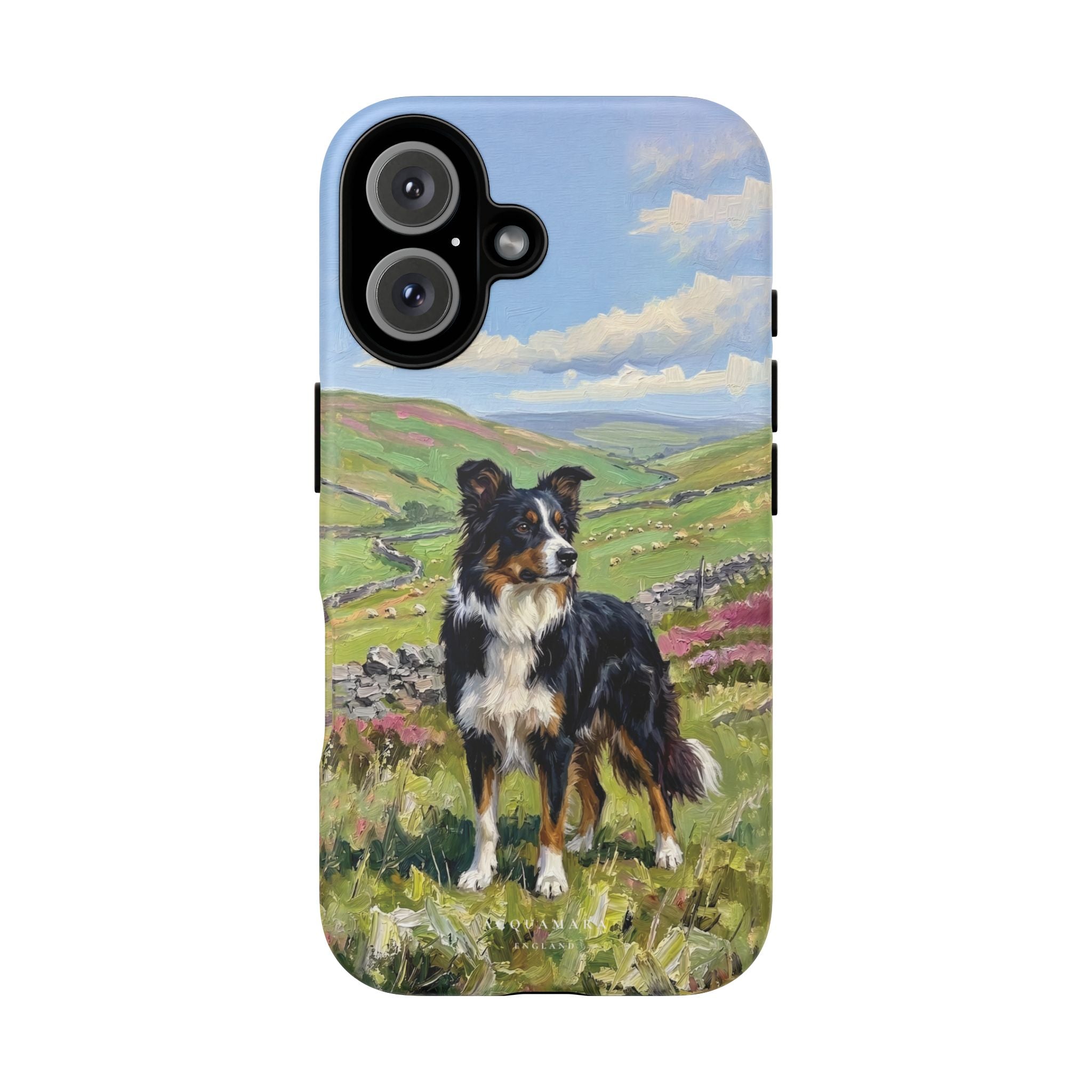 The Border Collie