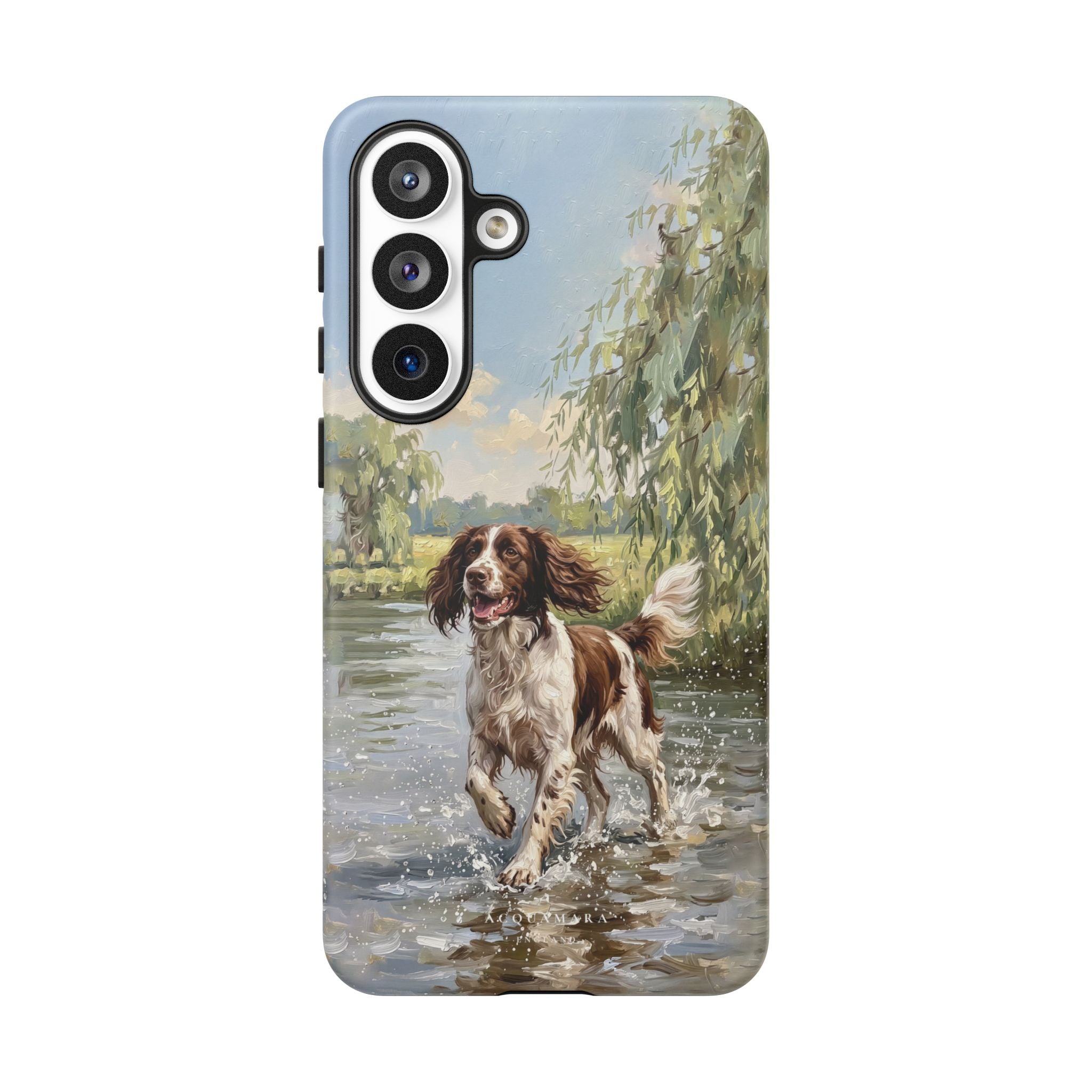 The Springer Spaniel (Liver and White)