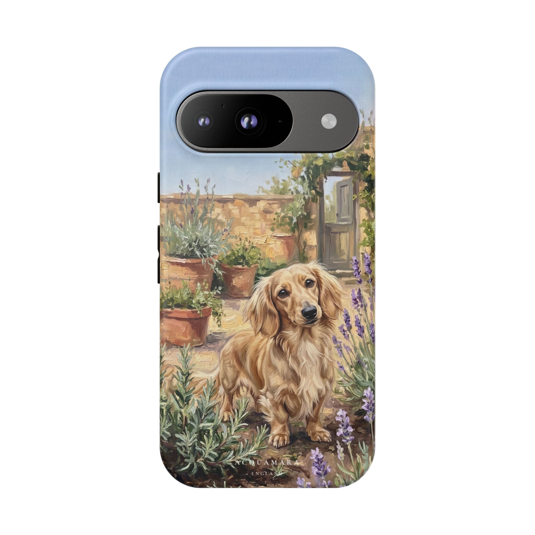 The Dachshund (Blonde long hair)