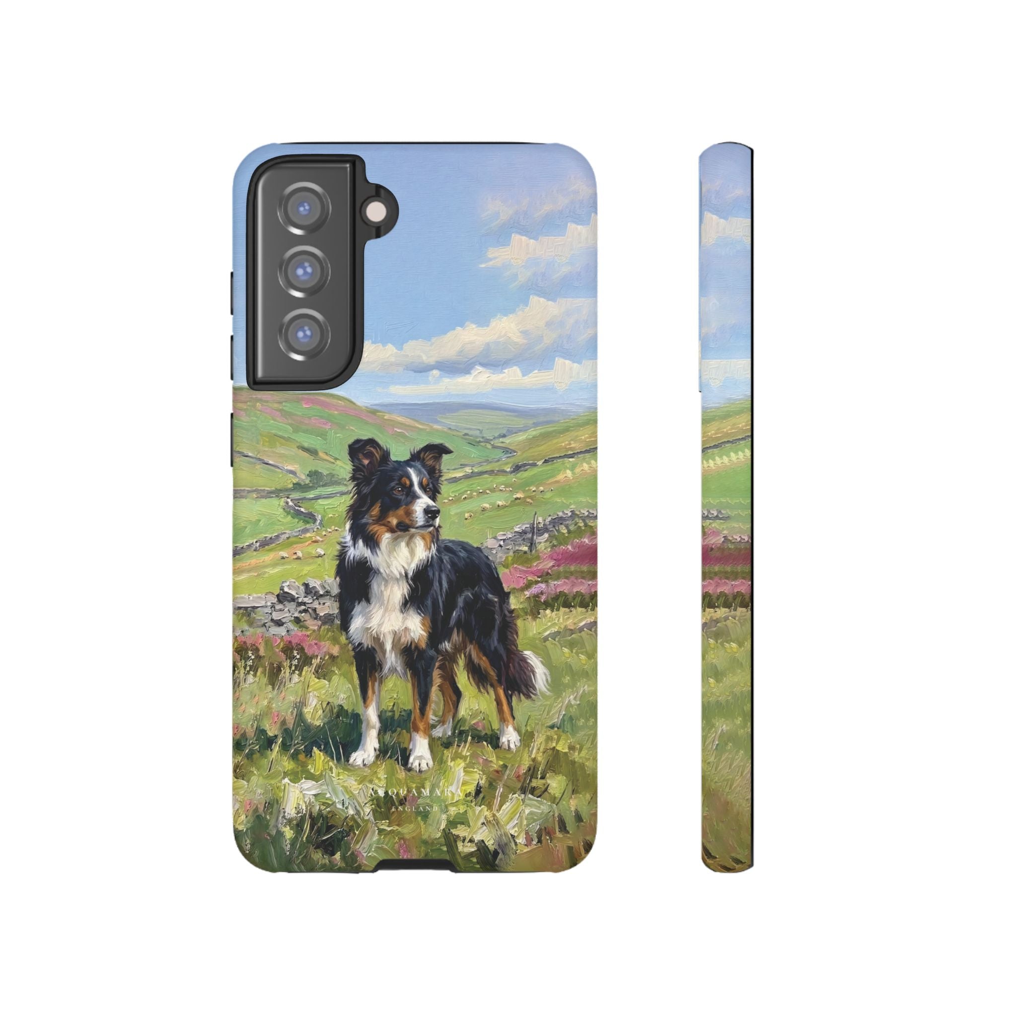 The Border Collie