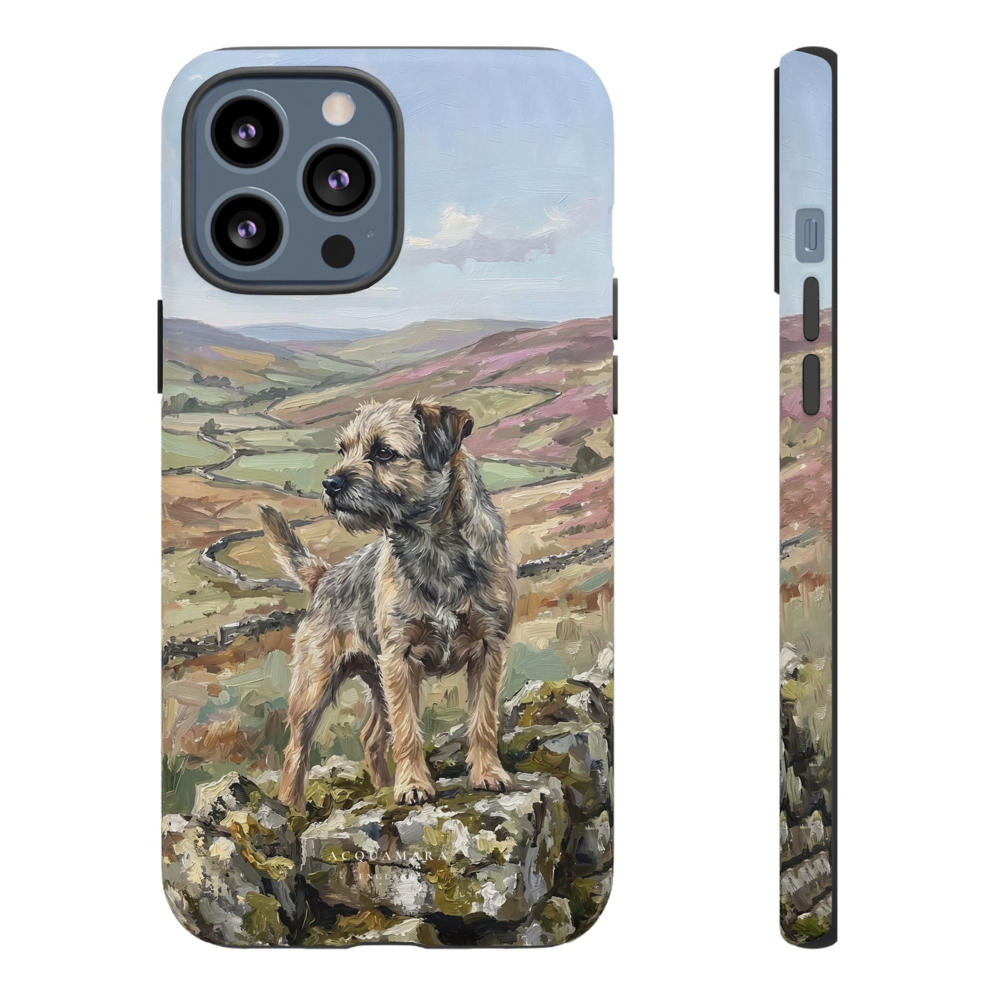 The Border Terrier (Grizzle and Tan)