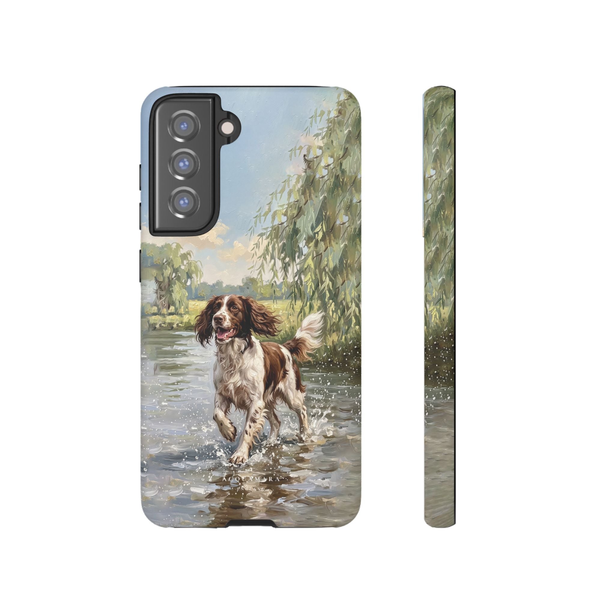 The Springer Spaniel (Liver and White)