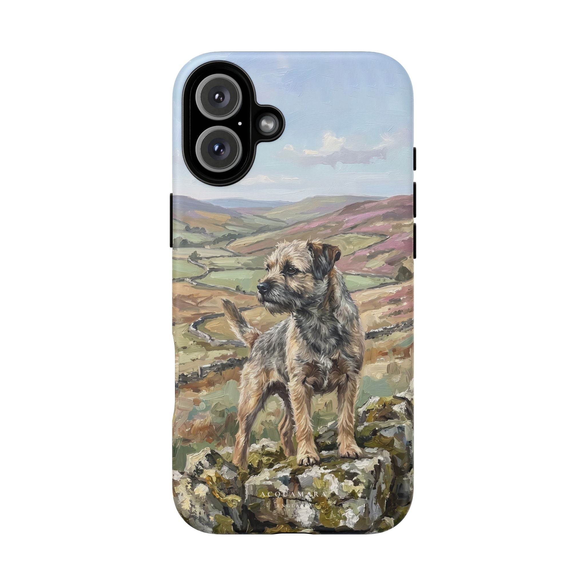 The Border Terrier (Grizzle and Tan)