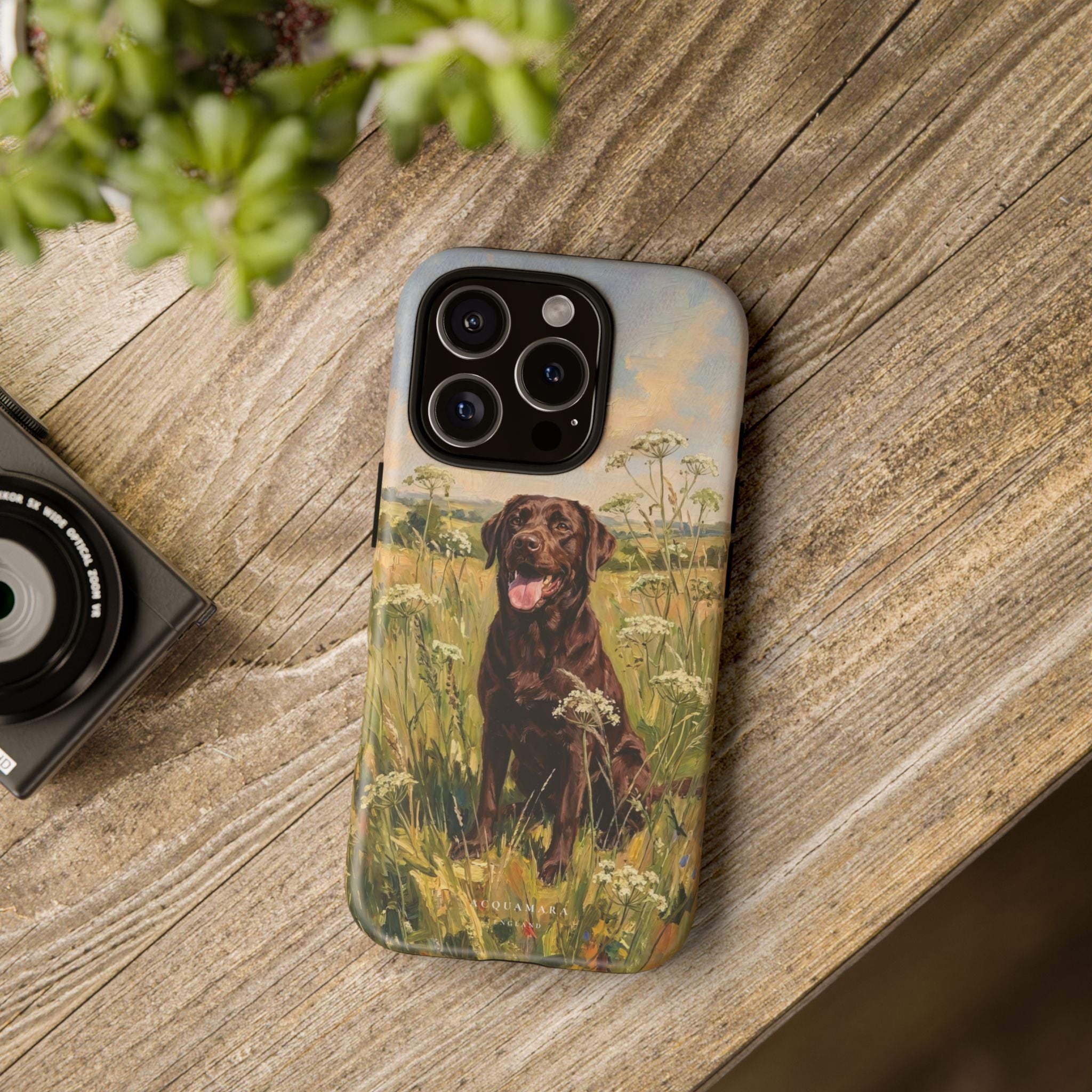 The Labrador (Chocolate)