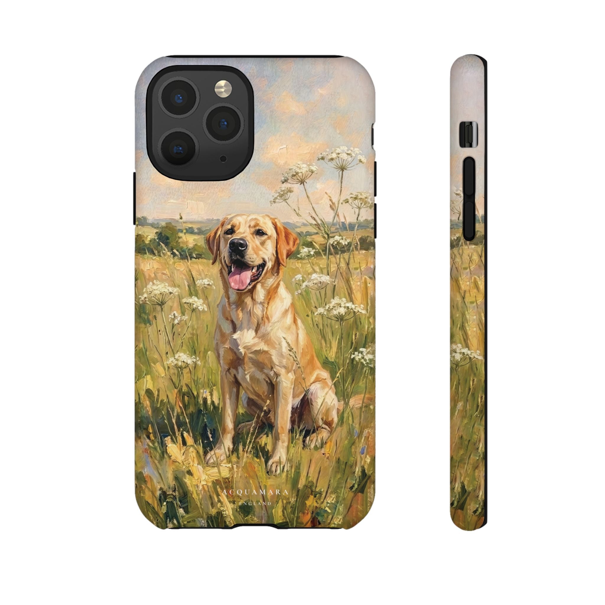 The Labrador (Yellow)