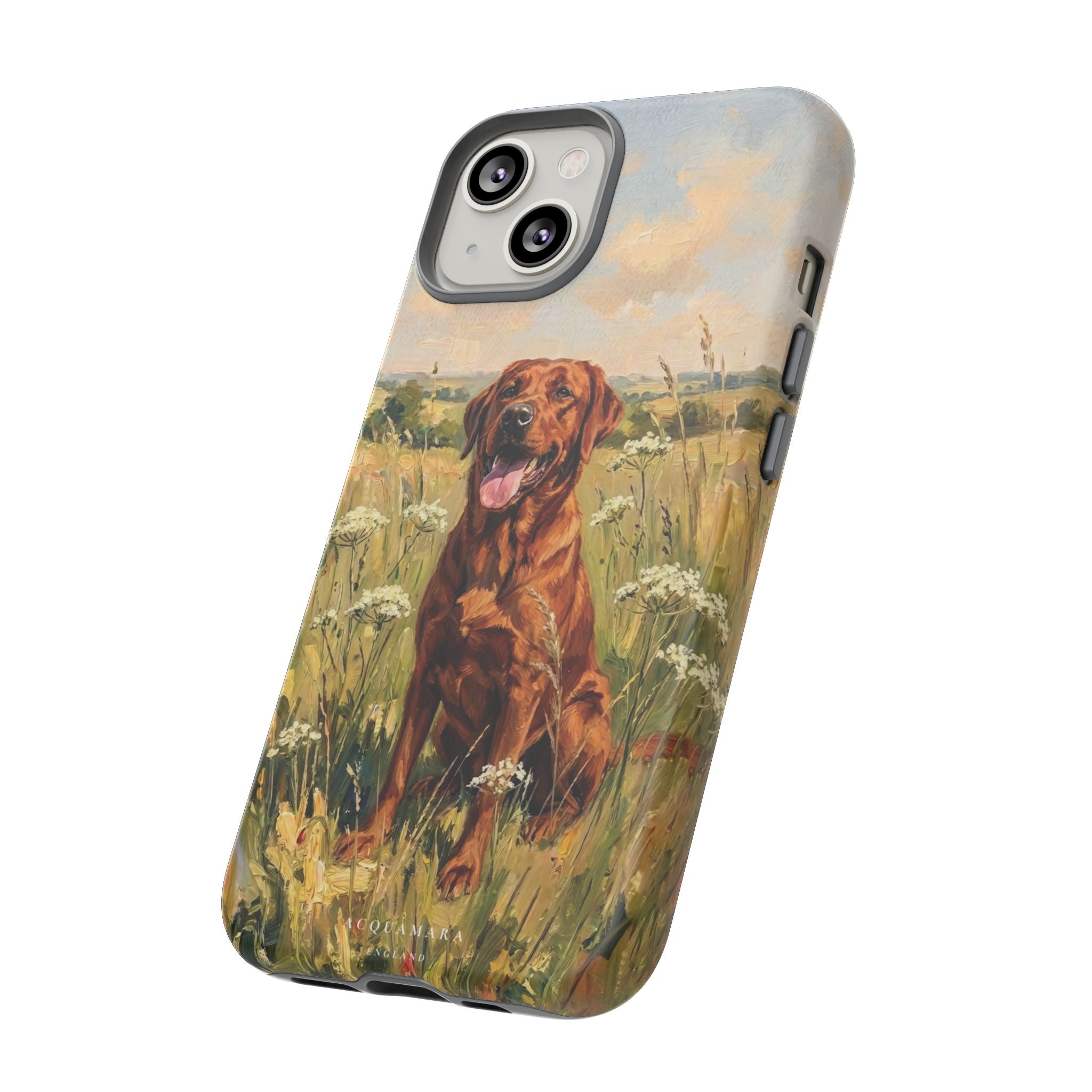 The Labrador (Red)