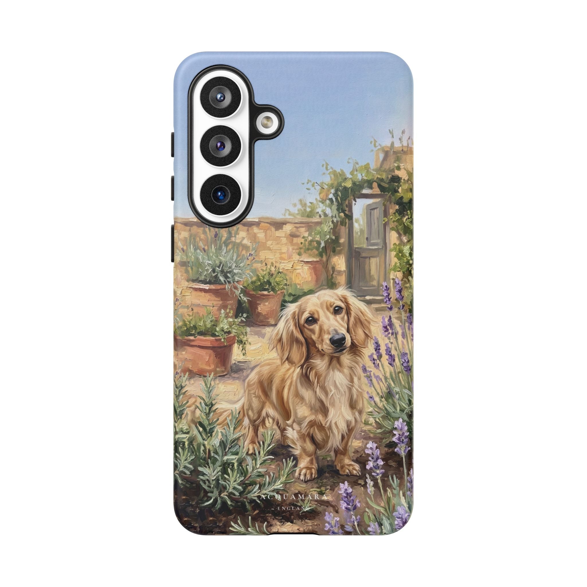 The Dachshund (Blonde long hair)