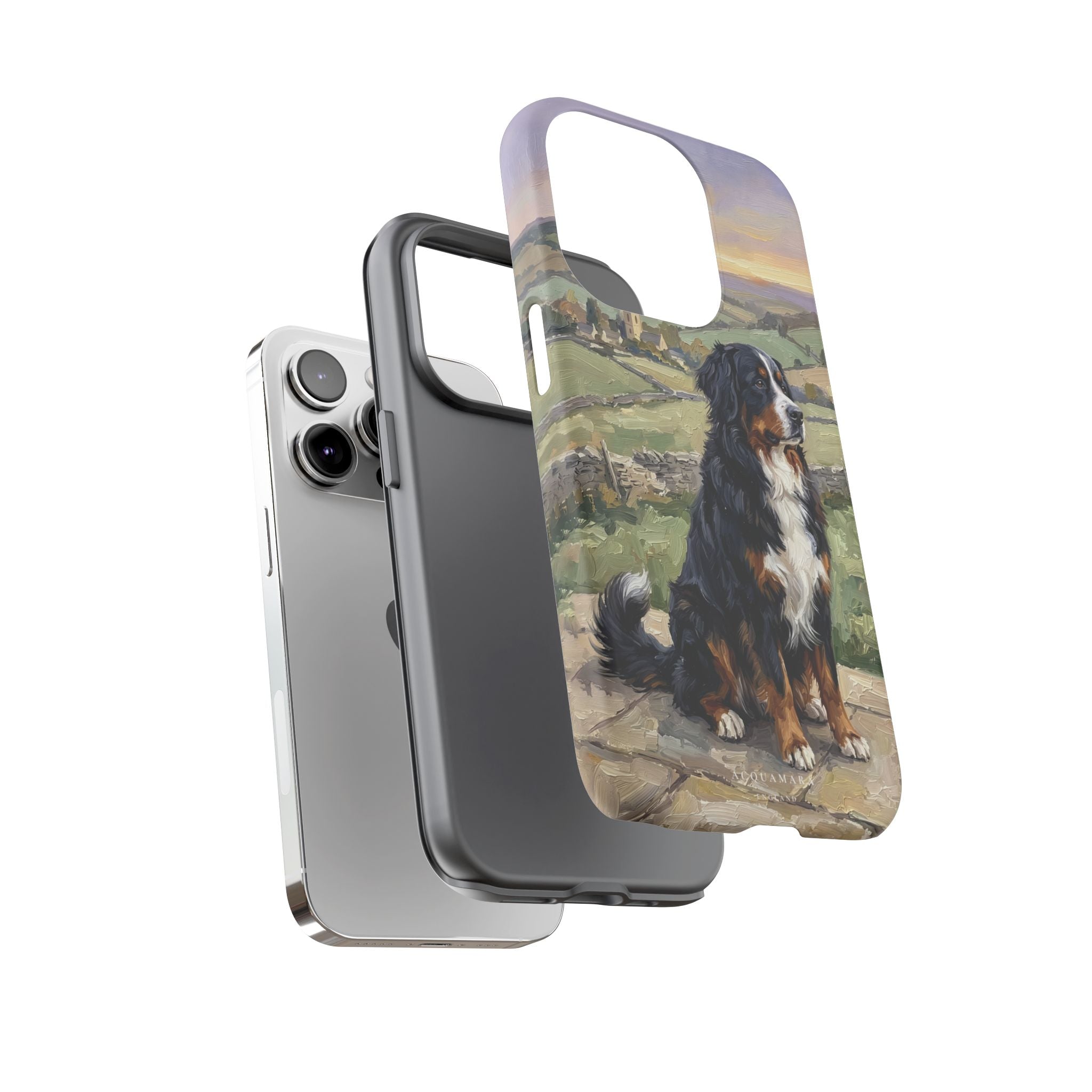 The Bernese Mountain Dog