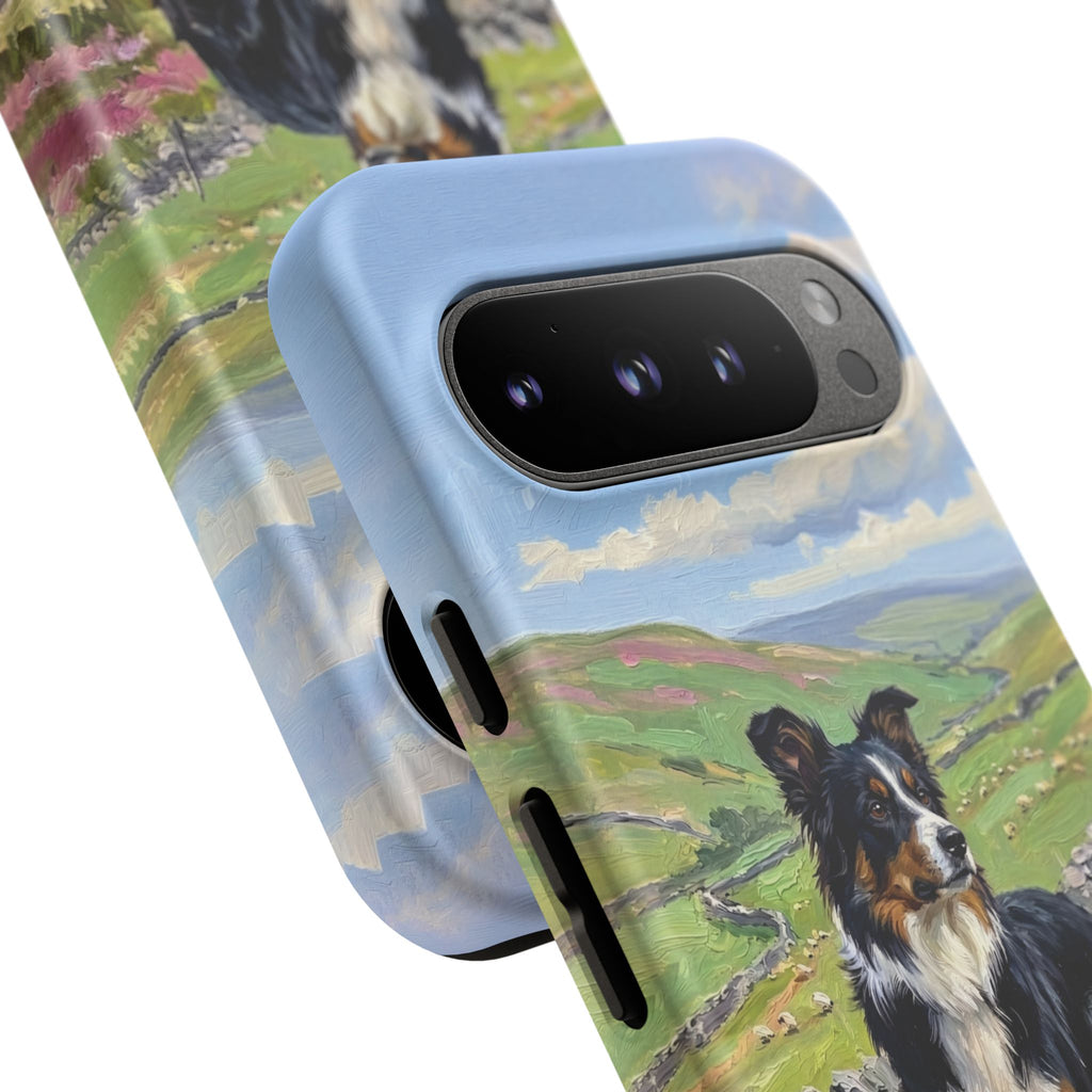 The Border Collie