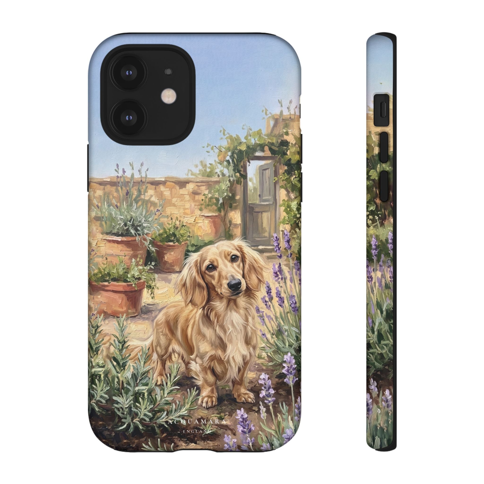 The Dachshund (Blonde long hair)