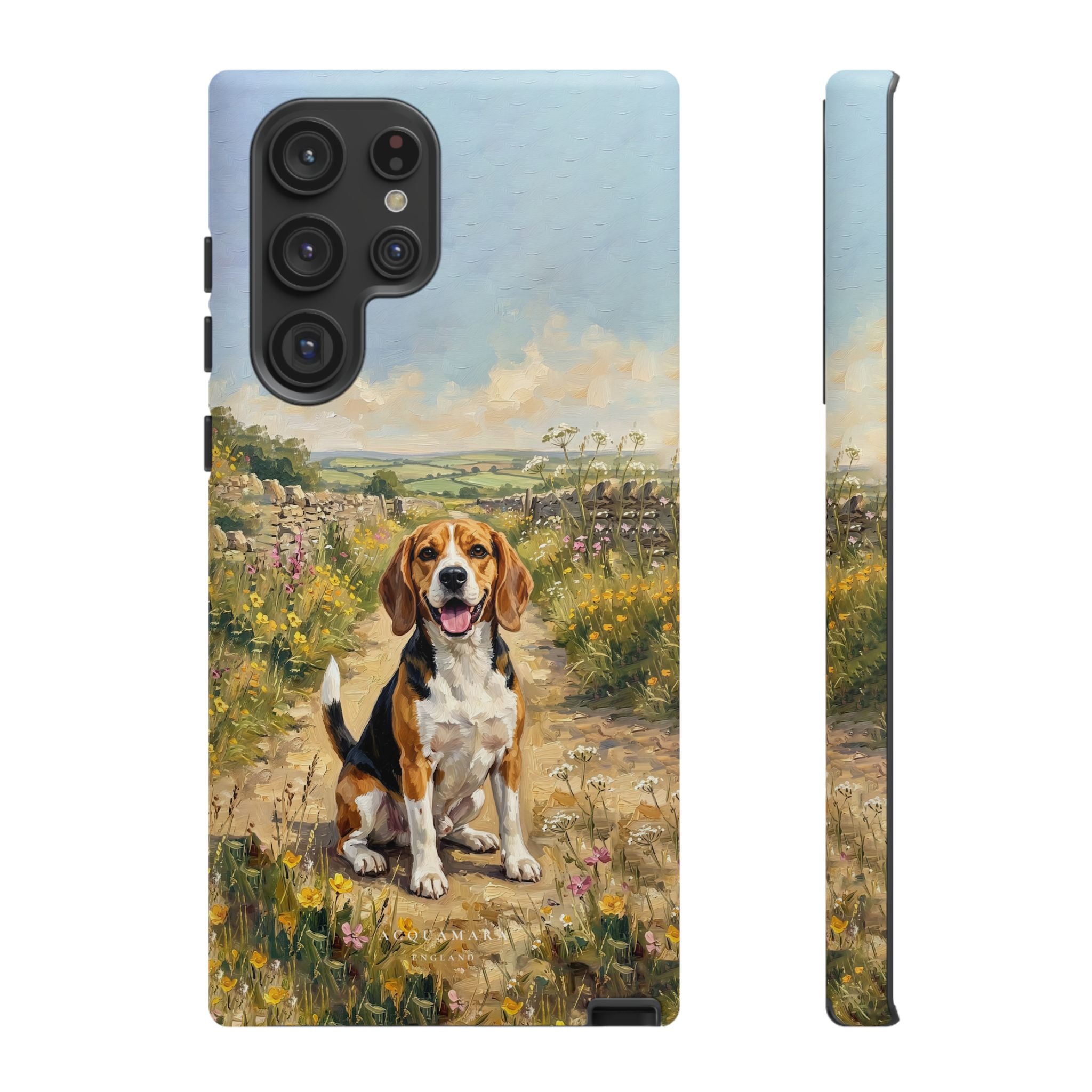The Beagle