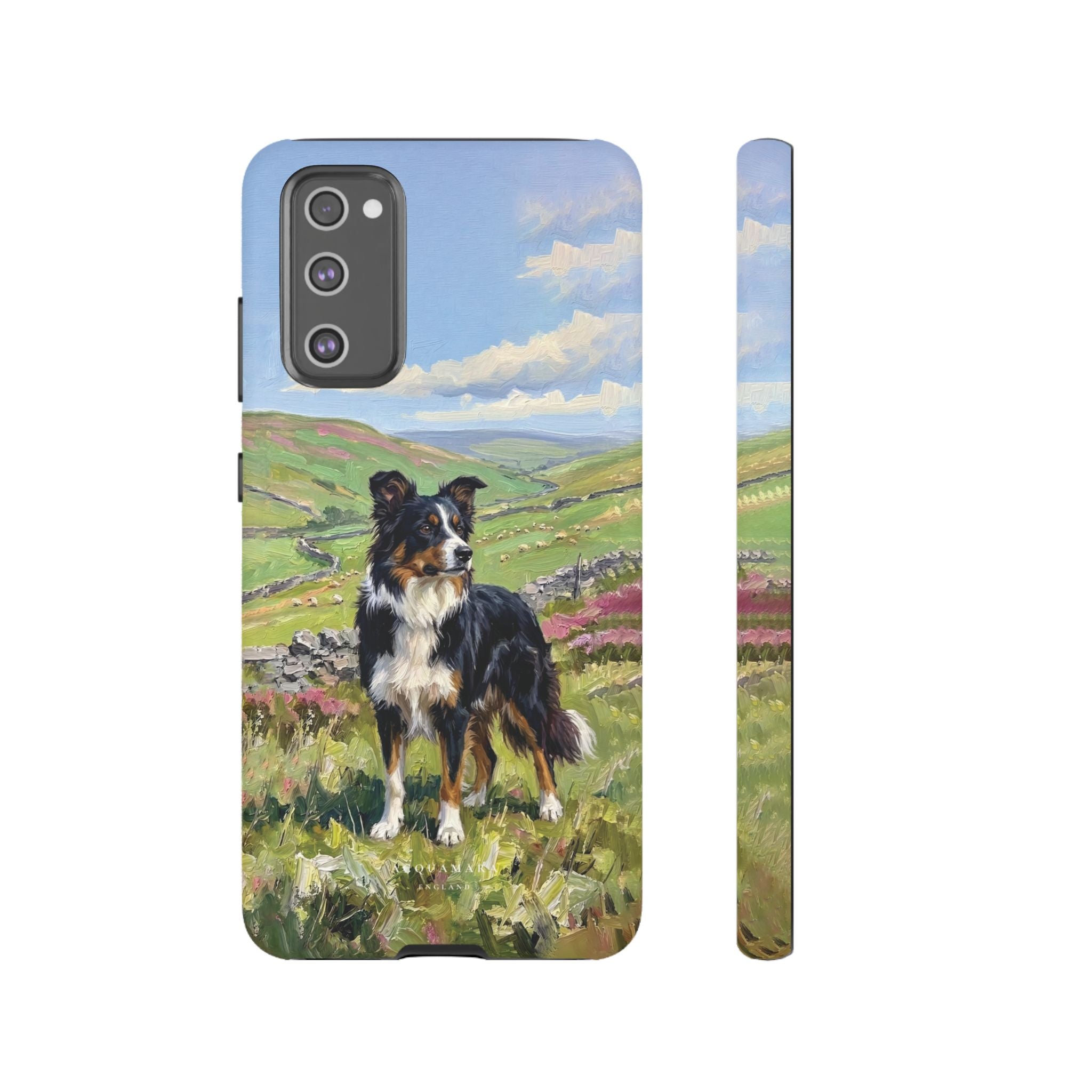 The Border Collie