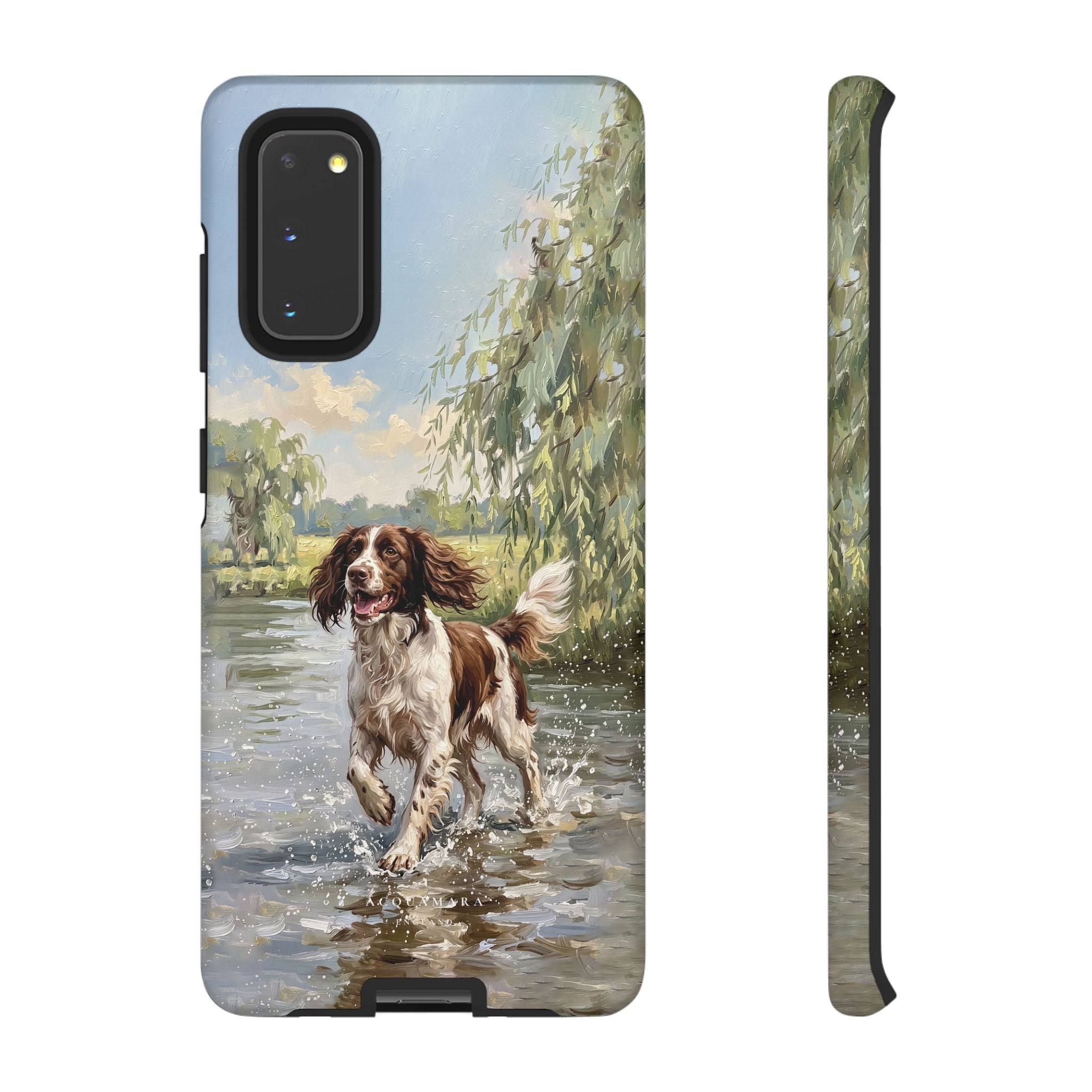 The Springer Spaniel (Liver and White)