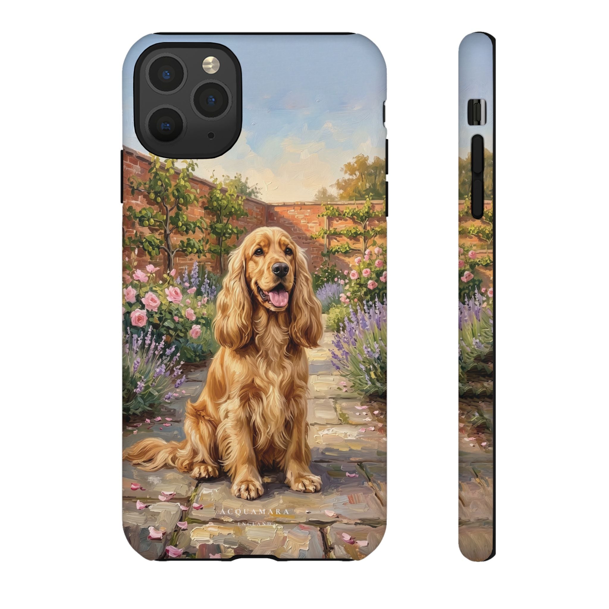 The Show Cocker (Golden)