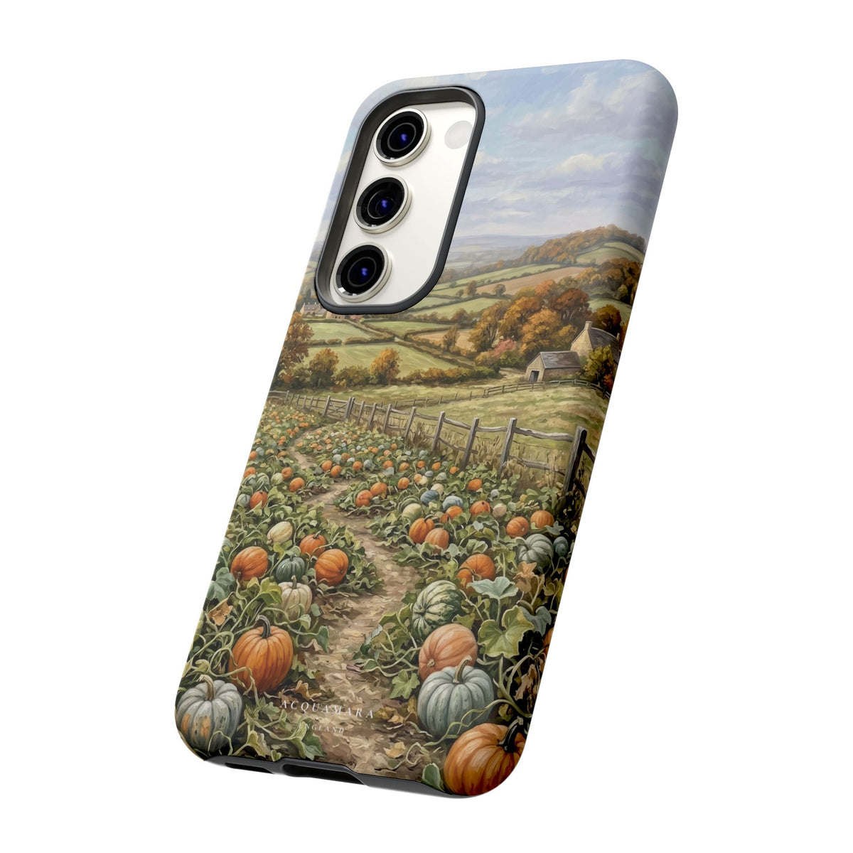 The Pumpkin Field