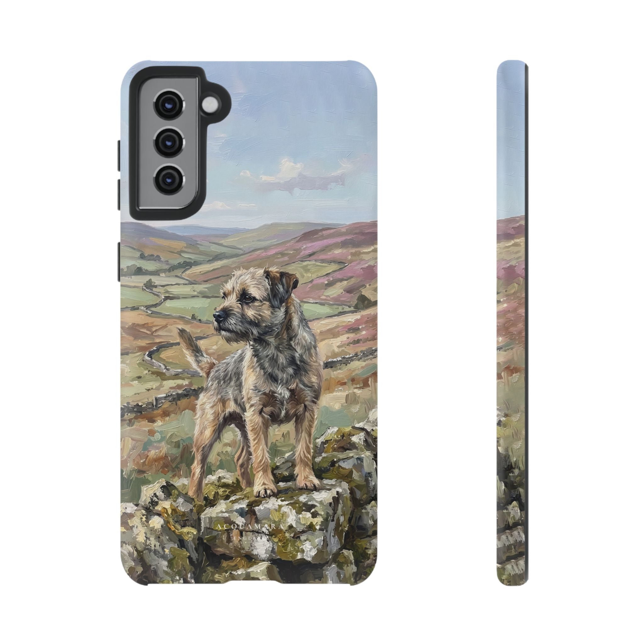 The Border Terrier (Grizzle and Tan)