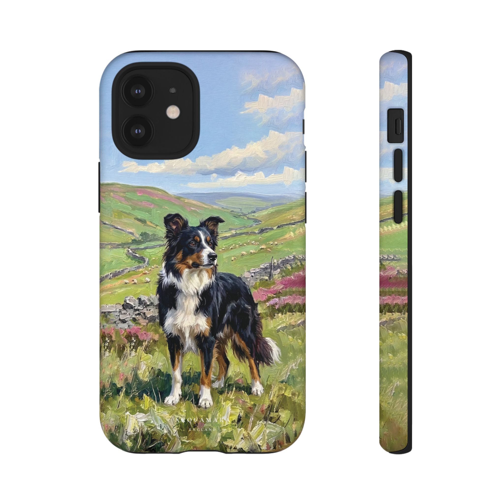 The Border Collie