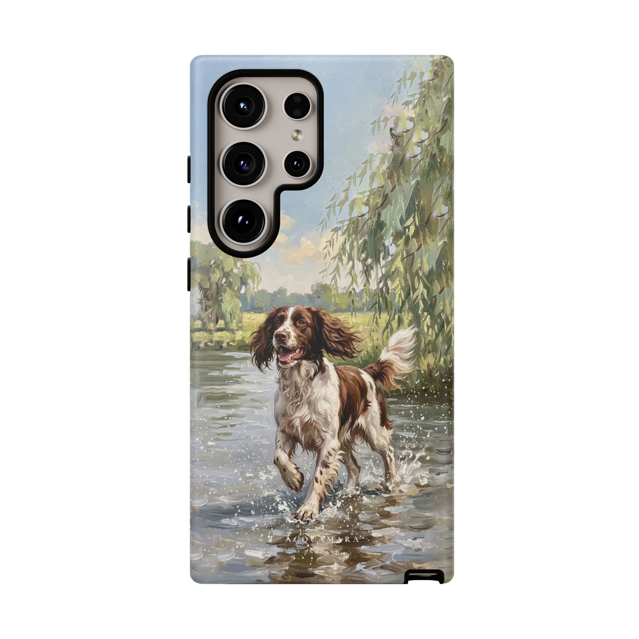 The Springer Spaniel (Liver and White)