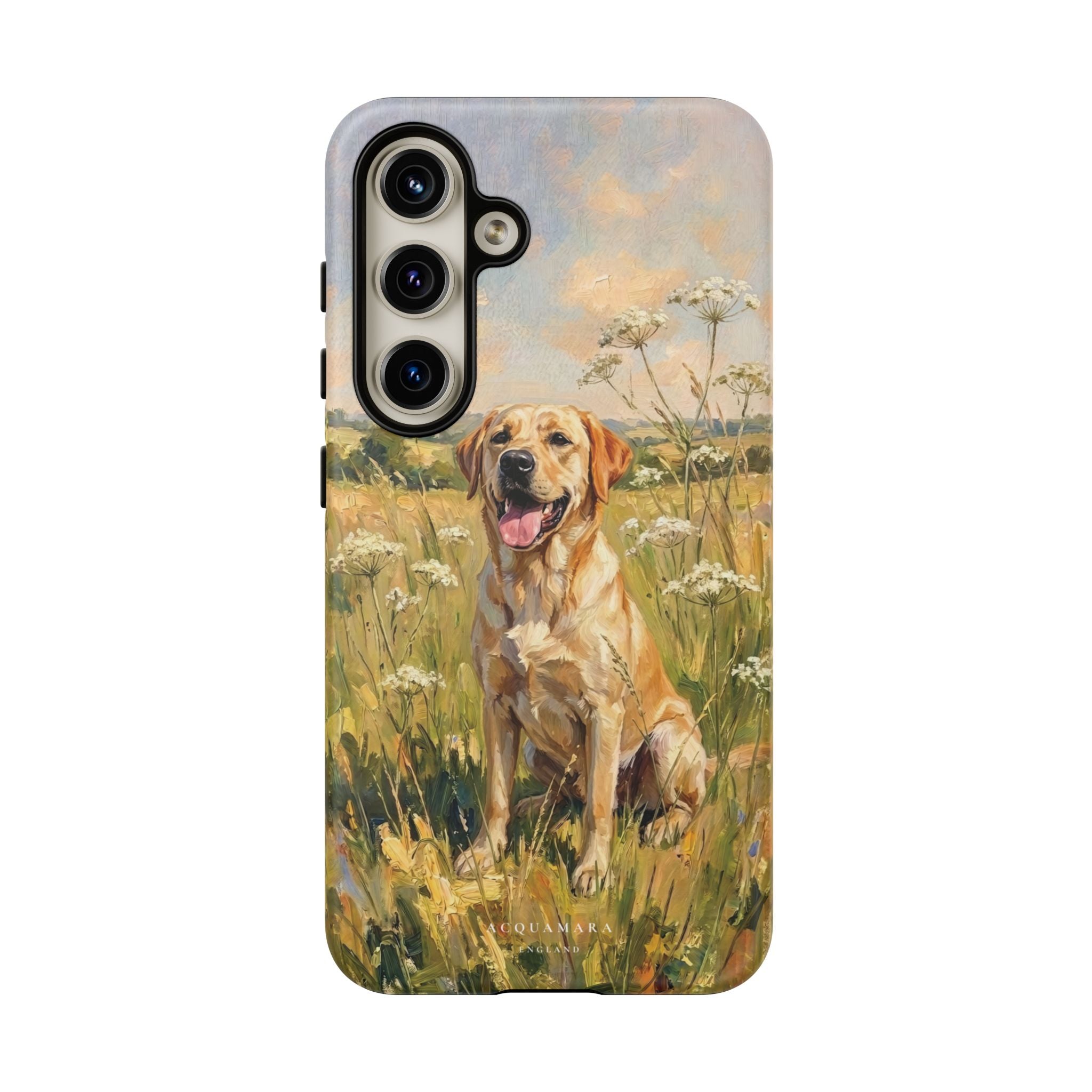 The Labrador (Yellow)