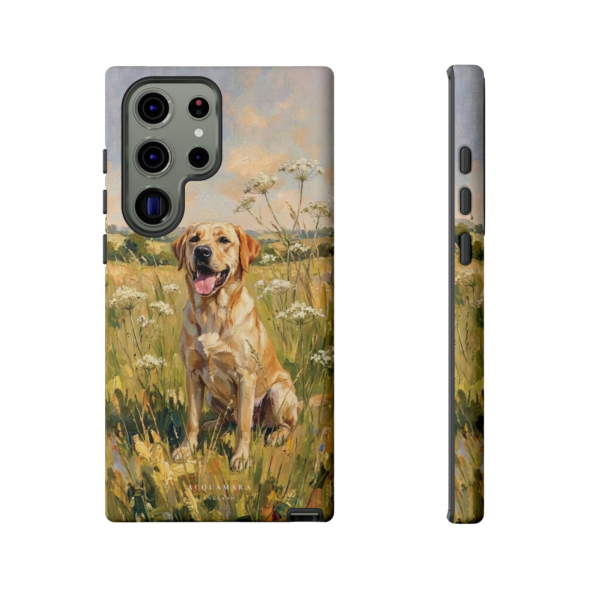 The Labrador (Yellow)