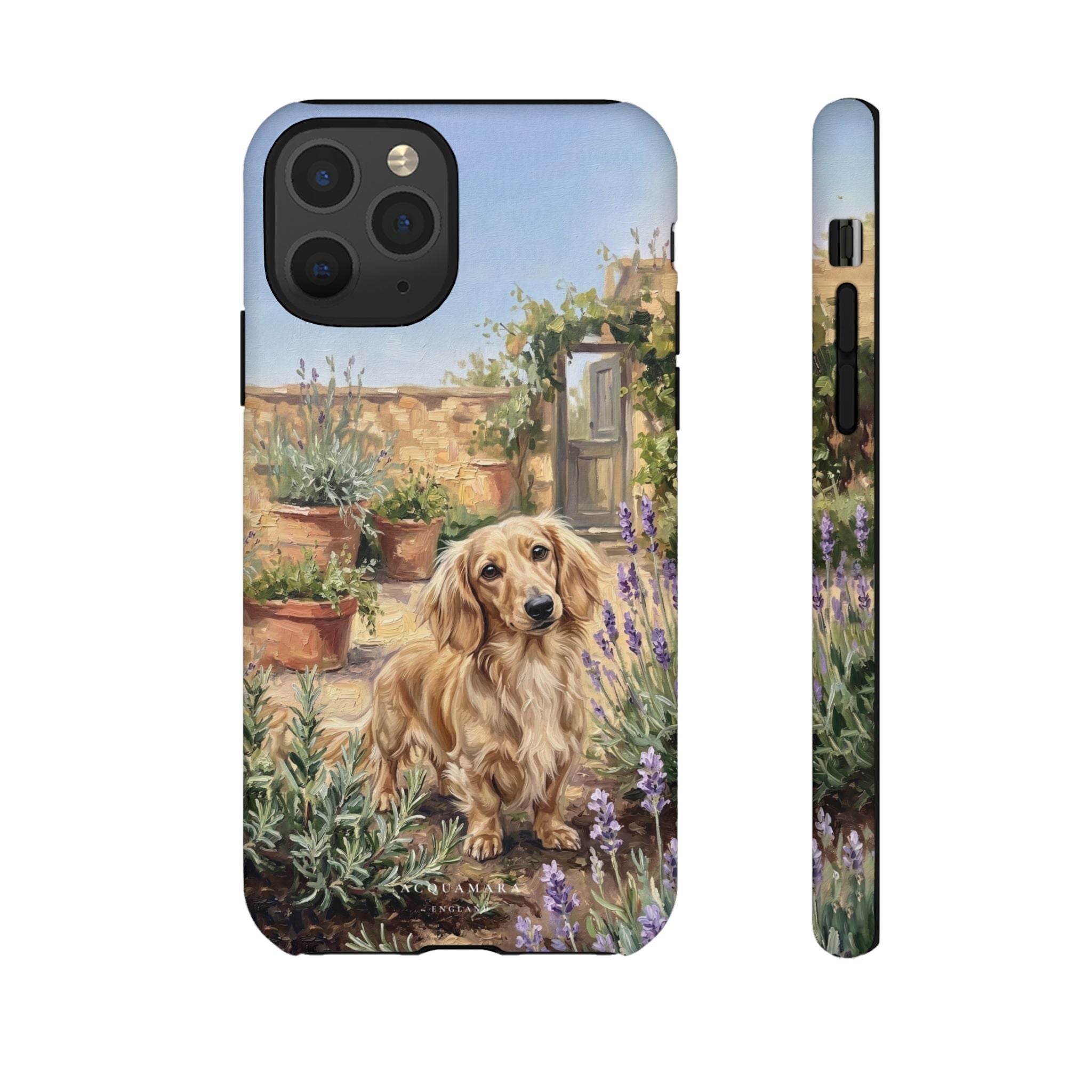 The Dachshund (Blonde long hair)