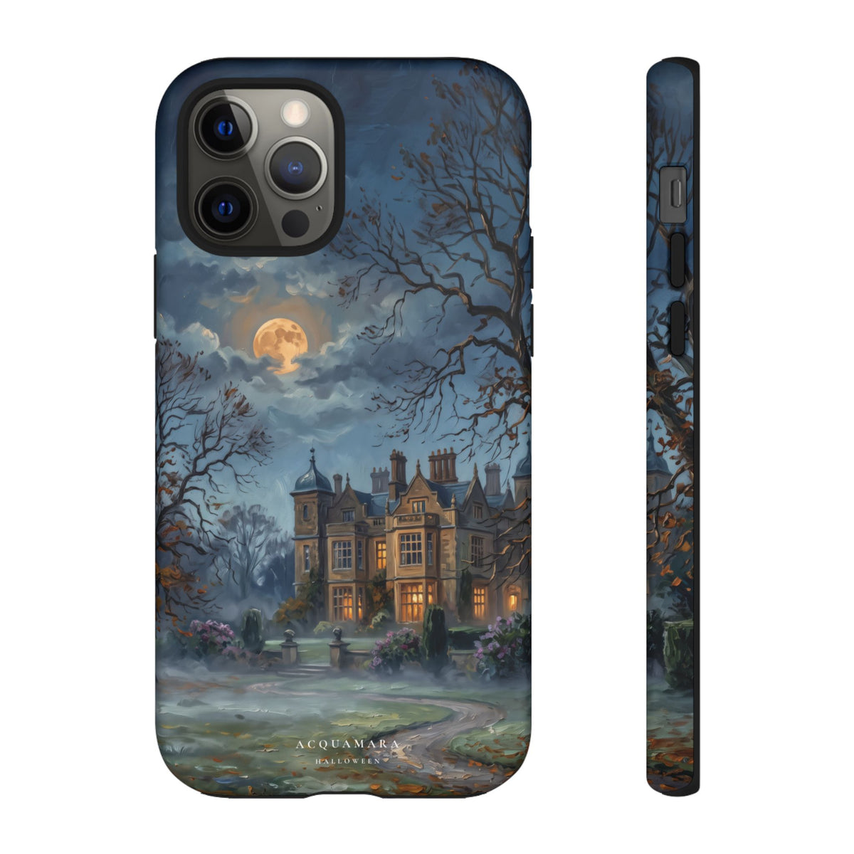Dusk at the Manor