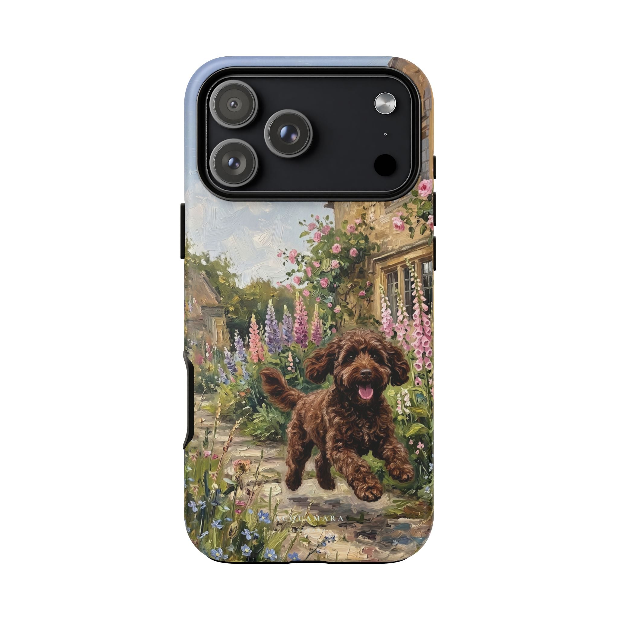 The Cockapoo (Chocolate)