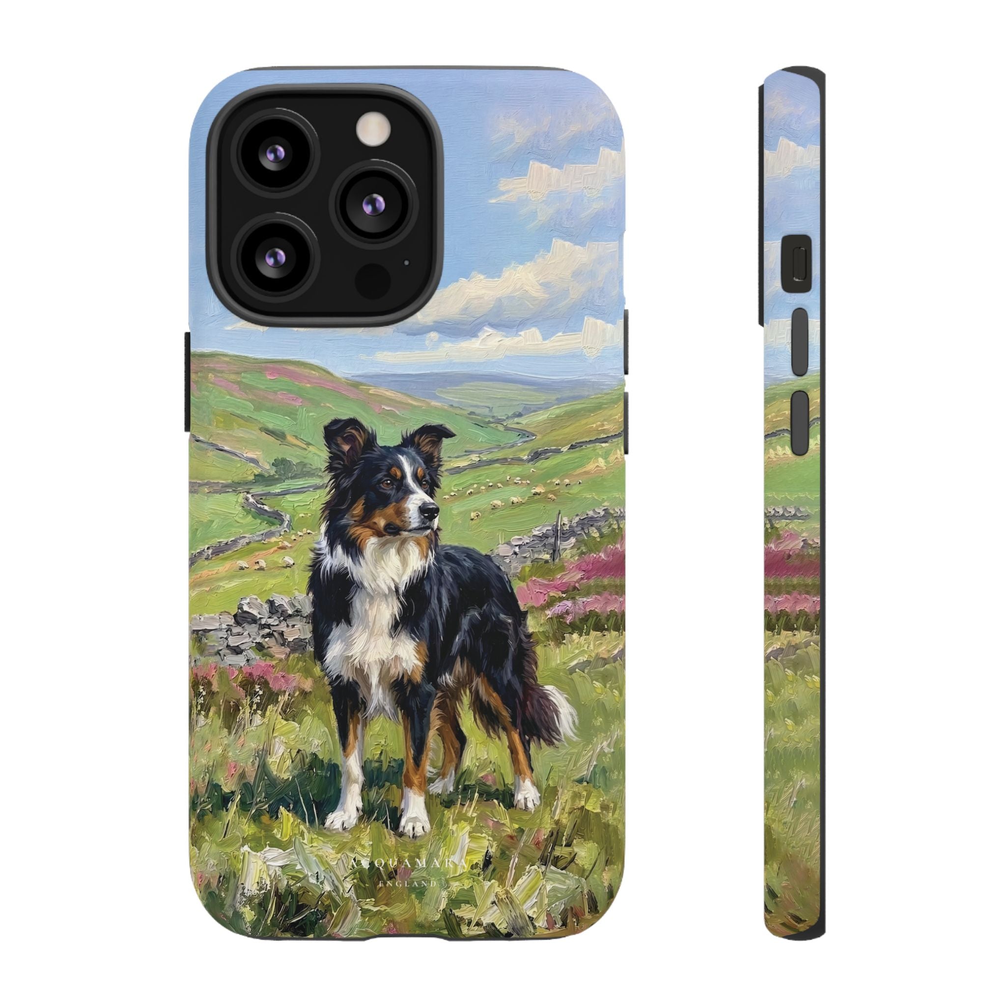 The Border Collie