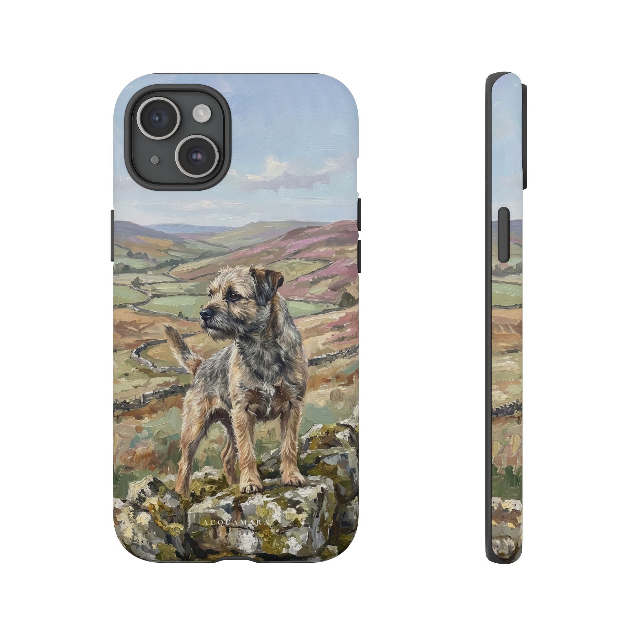 The Border Terrier (Grizzle and Tan)