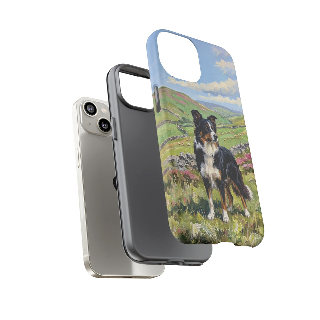 The Border Collie