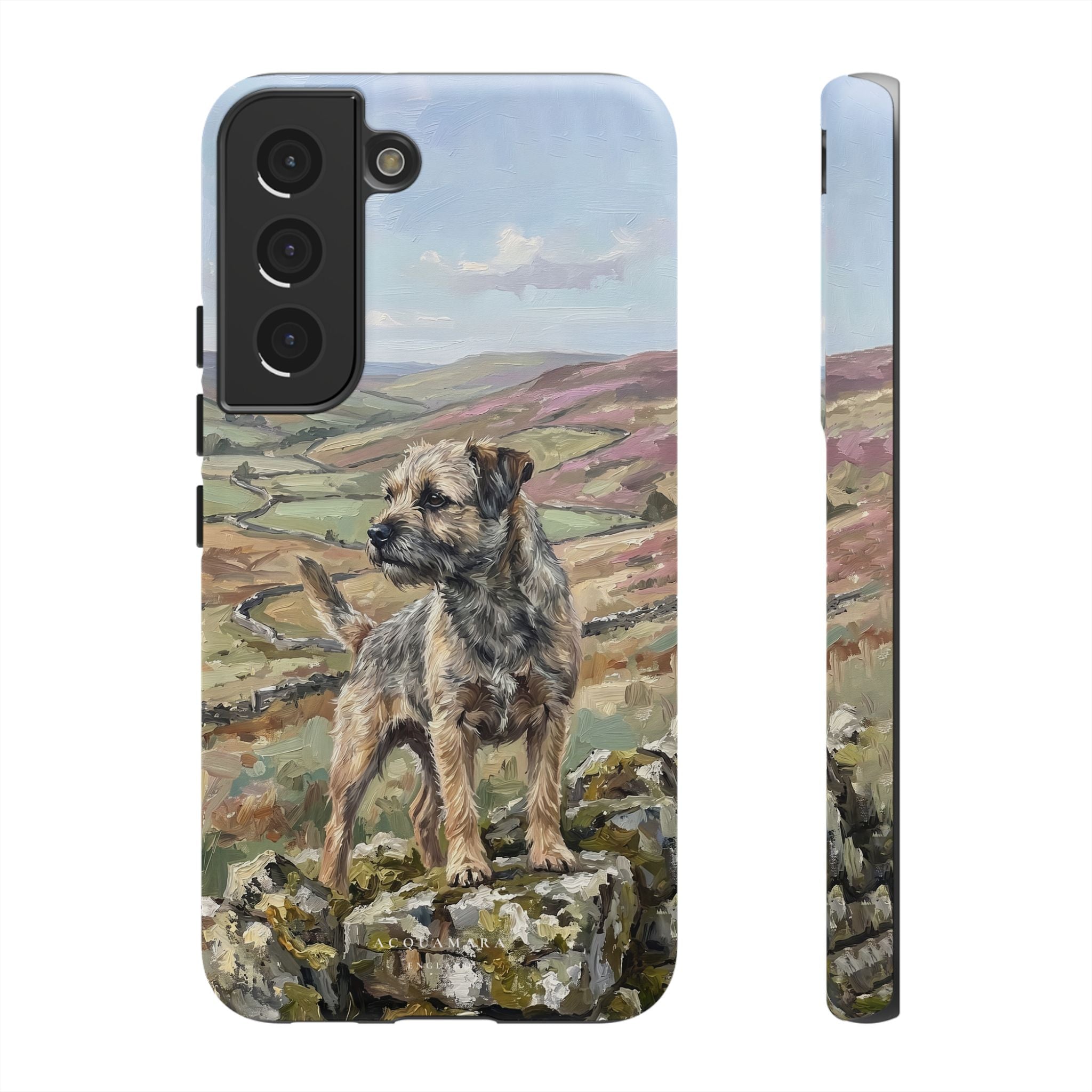The Border Terrier (Grizzle and Tan)