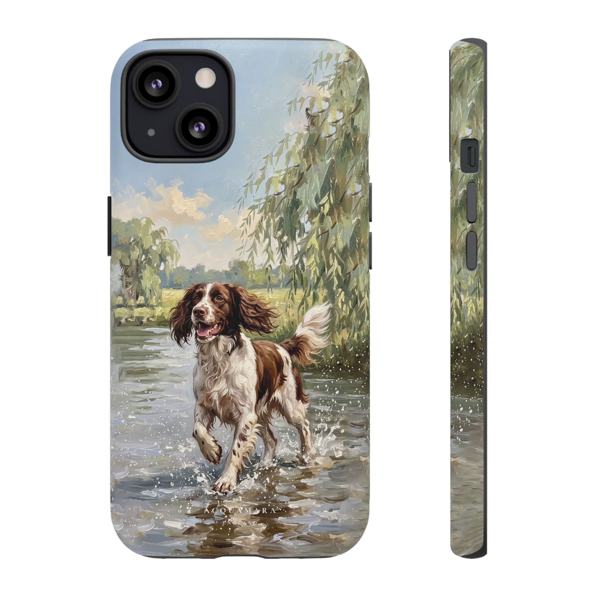 The Springer Spaniel (Liver and White)