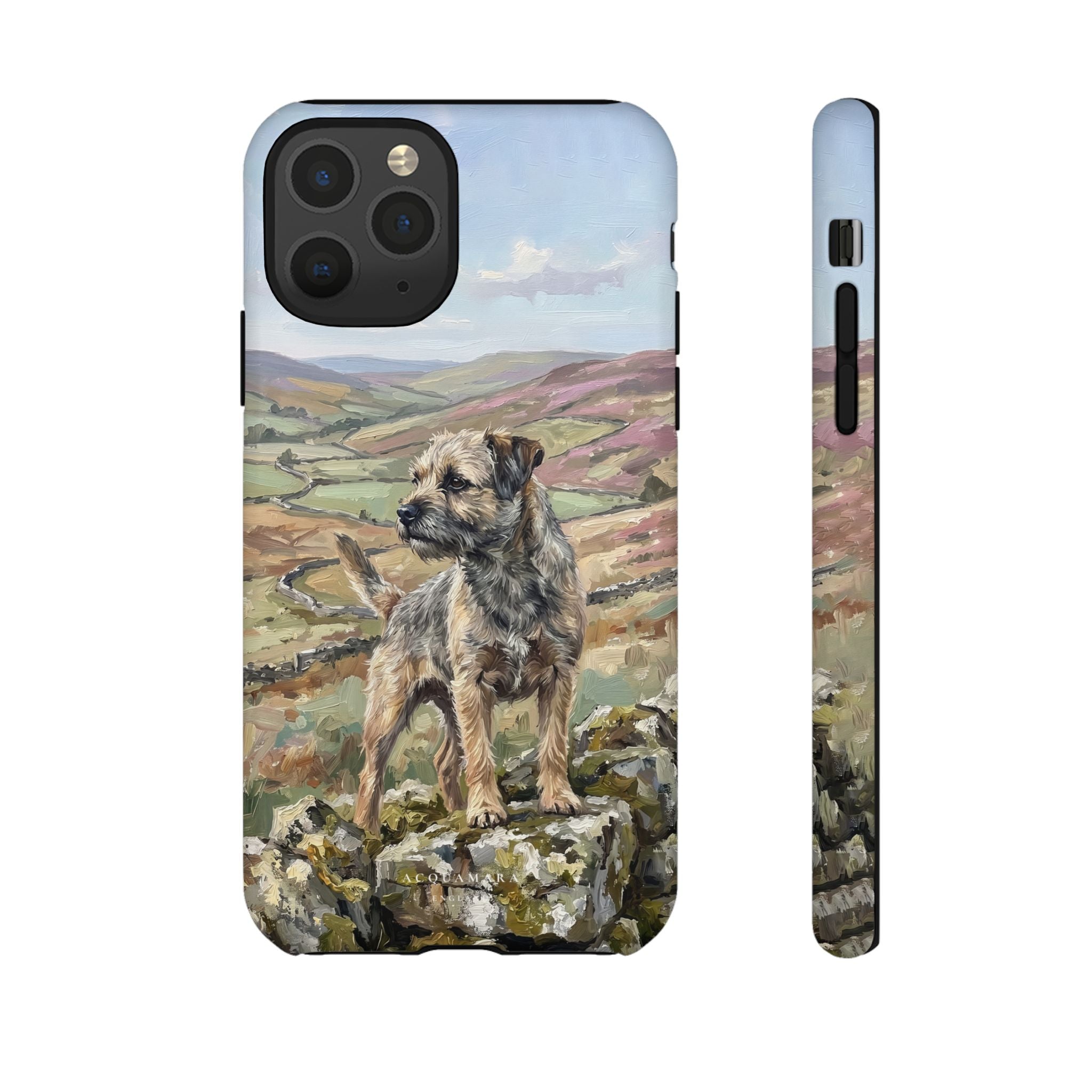 The Border Terrier (Grizzle and Tan)