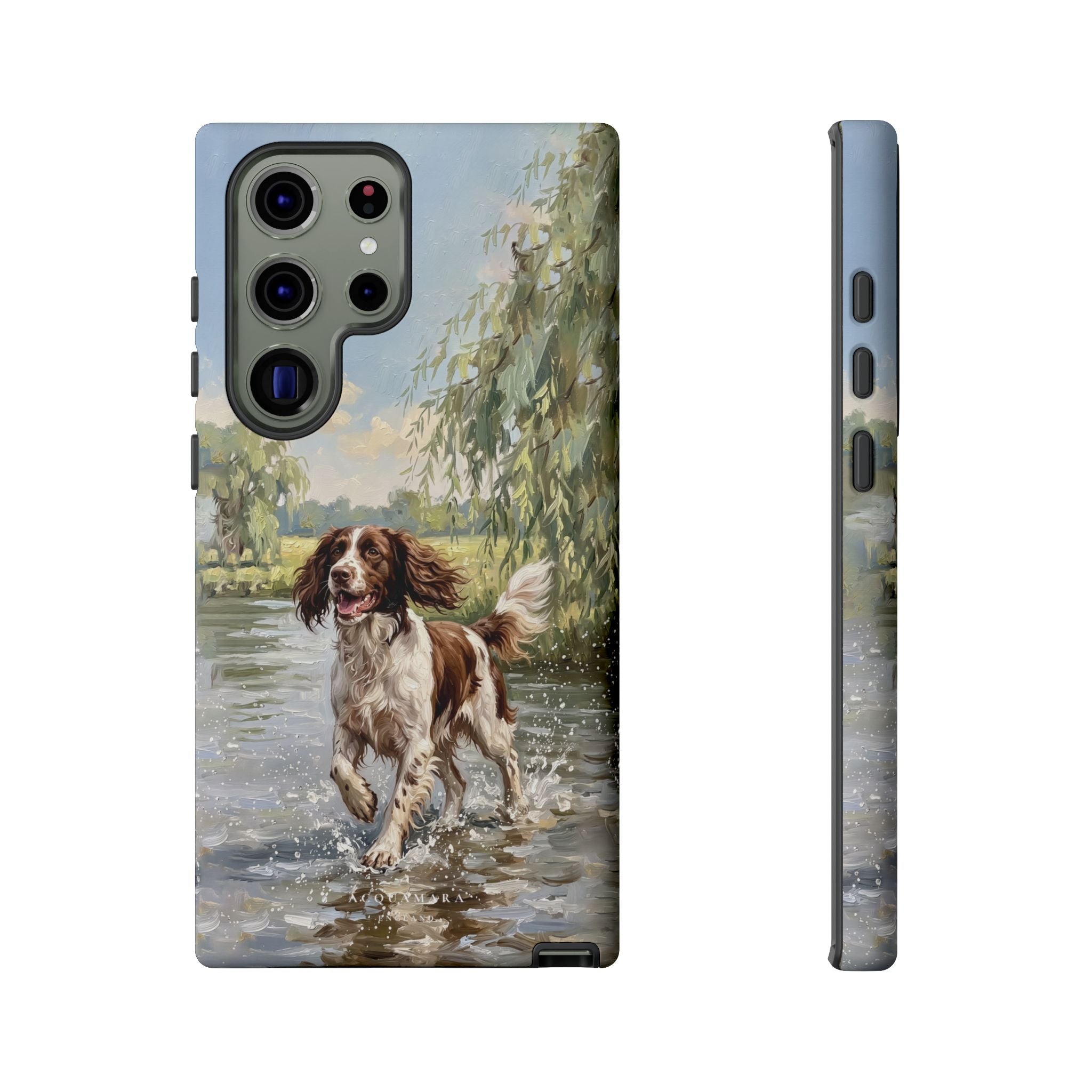 The Springer Spaniel (Liver and White)