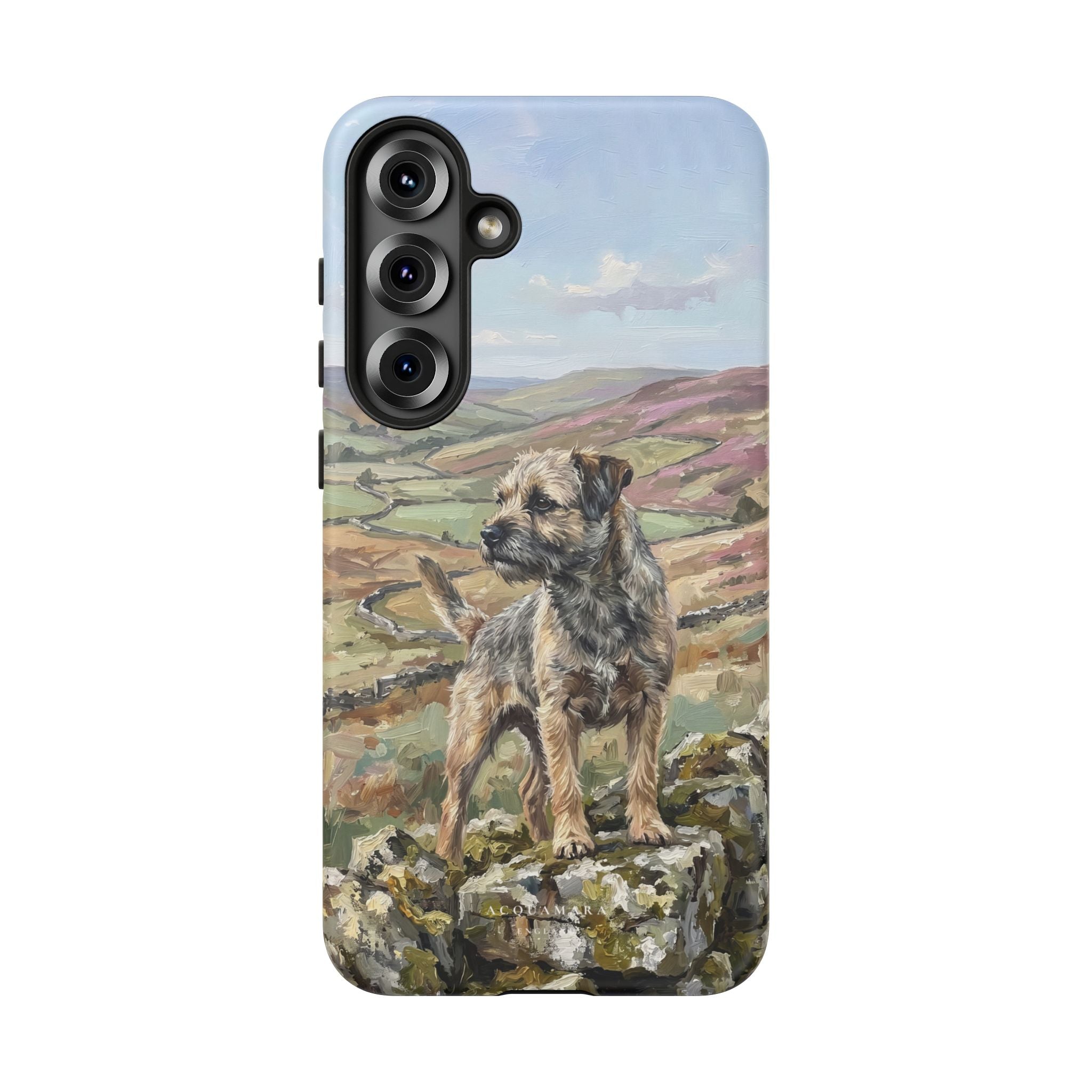 The Border Terrier (Grizzle and Tan)