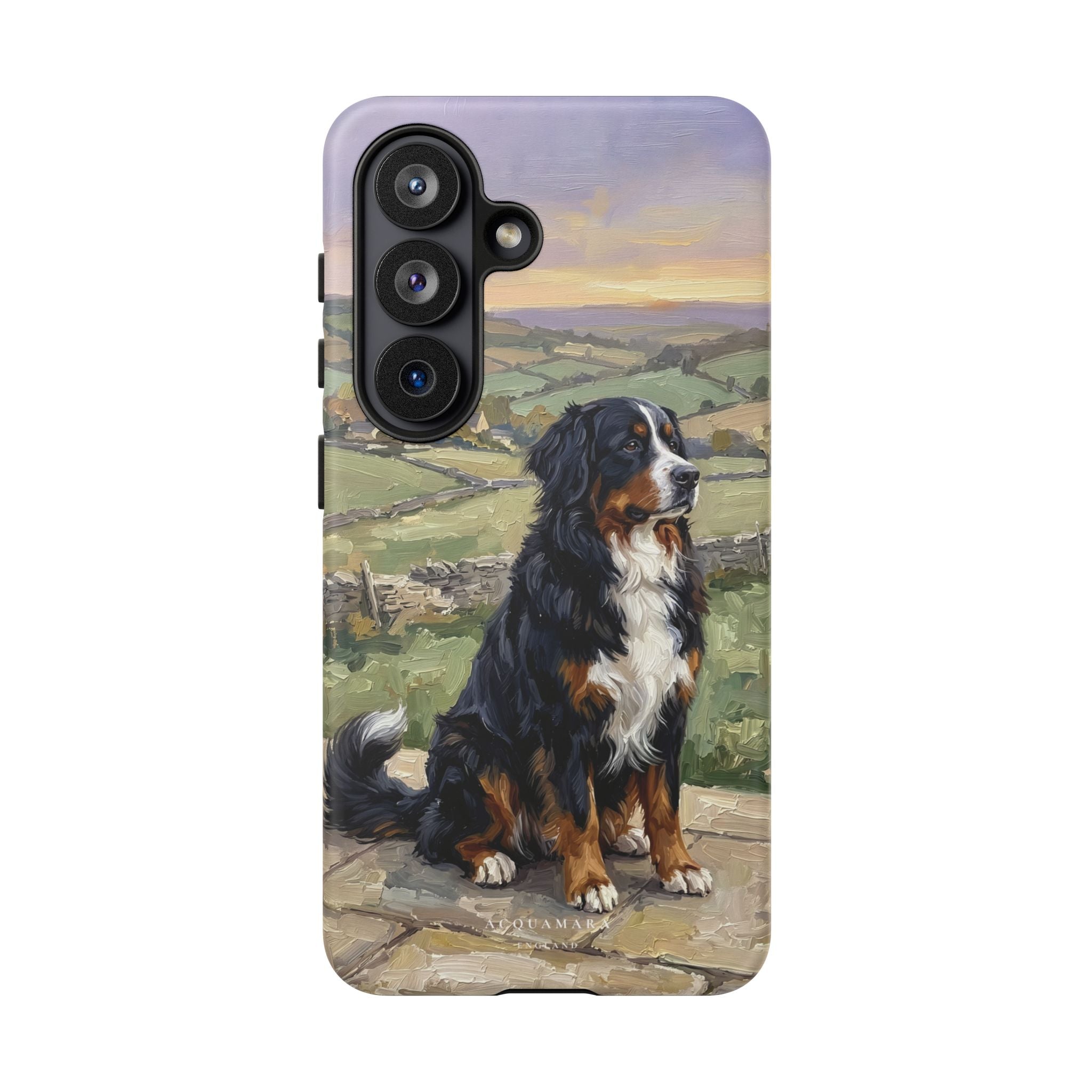 The Bernese Mountain Dog