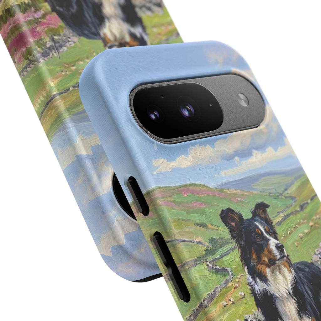 The Border Collie