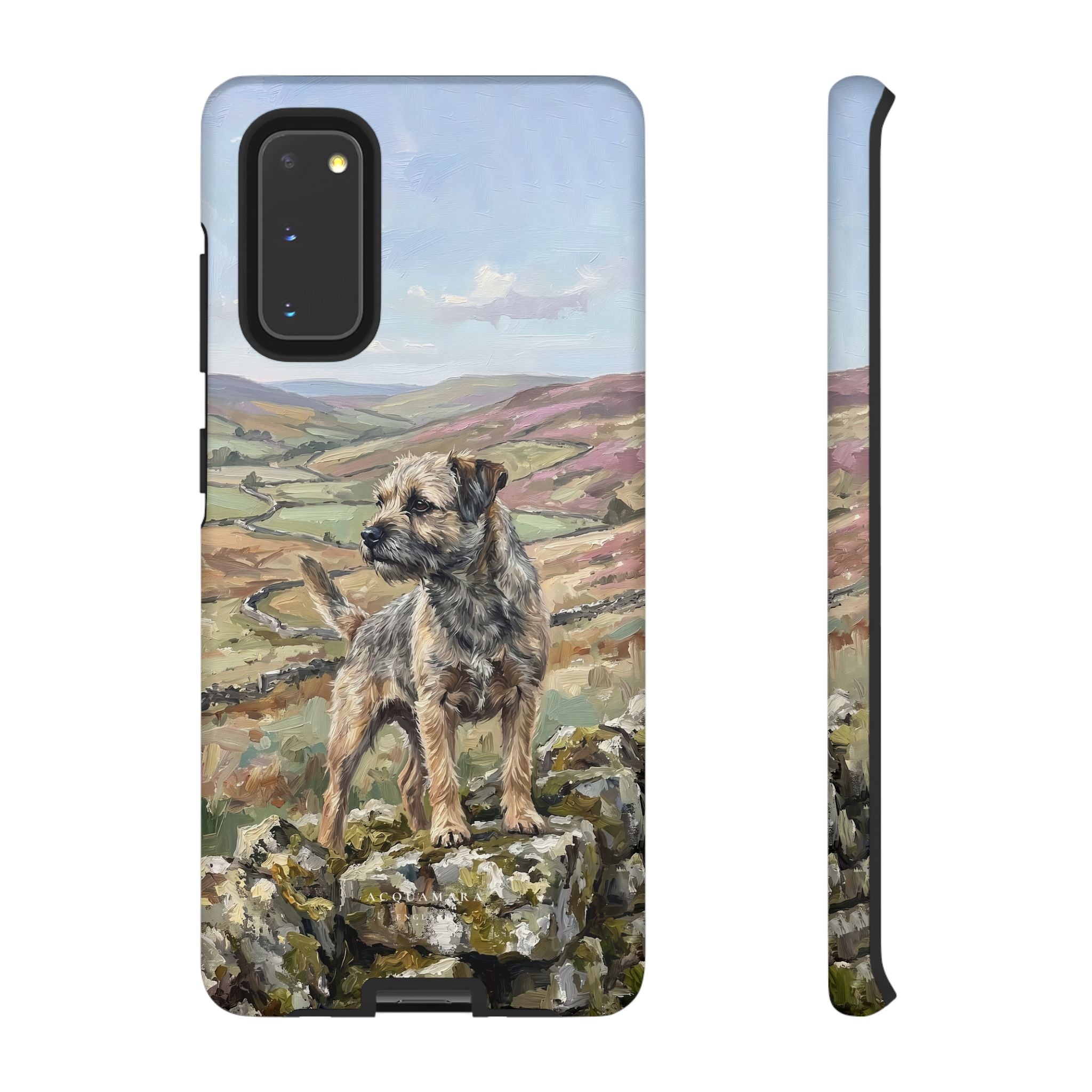 The Border Terrier (Grizzle and Tan)