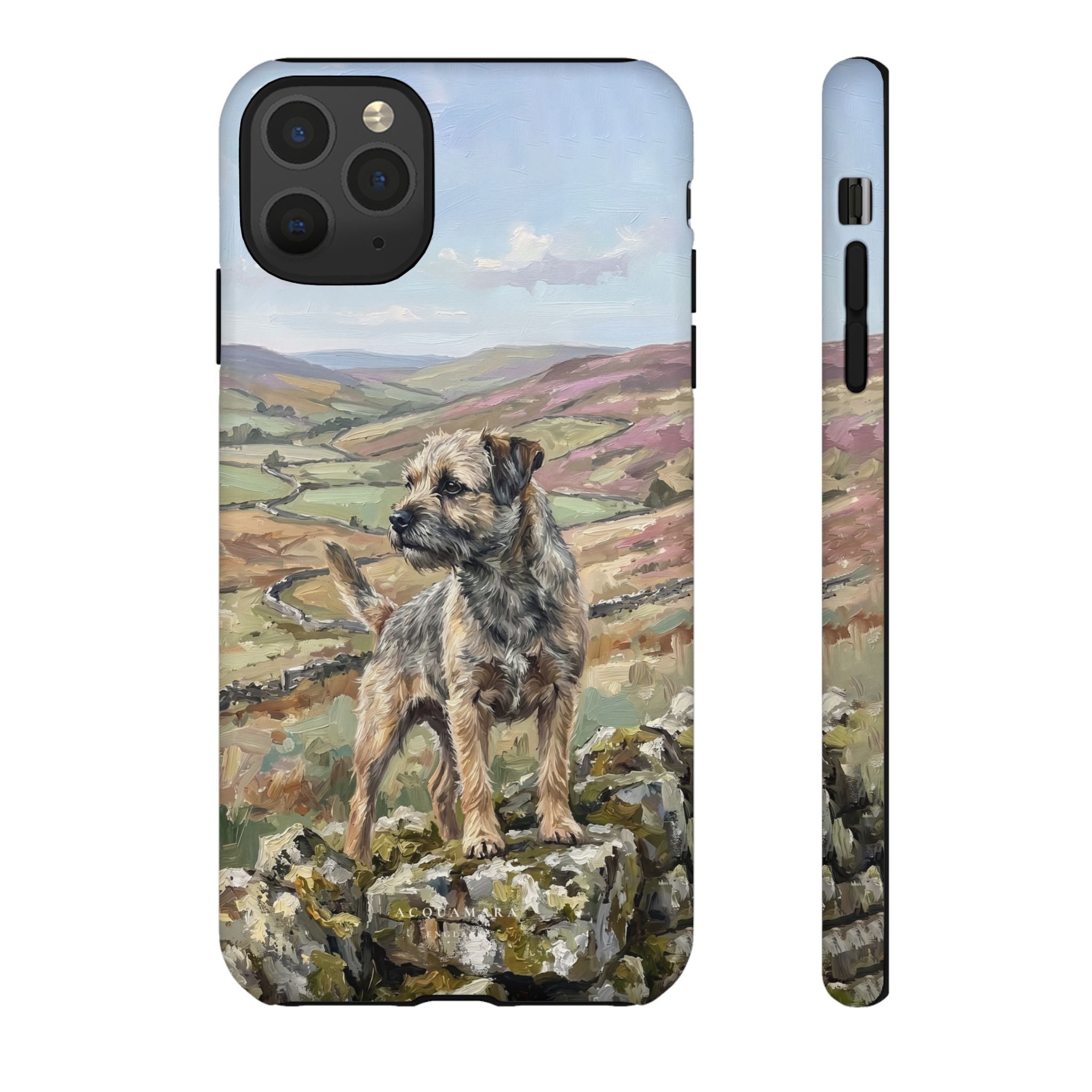 The Border Terrier (Grizzle and Tan)
