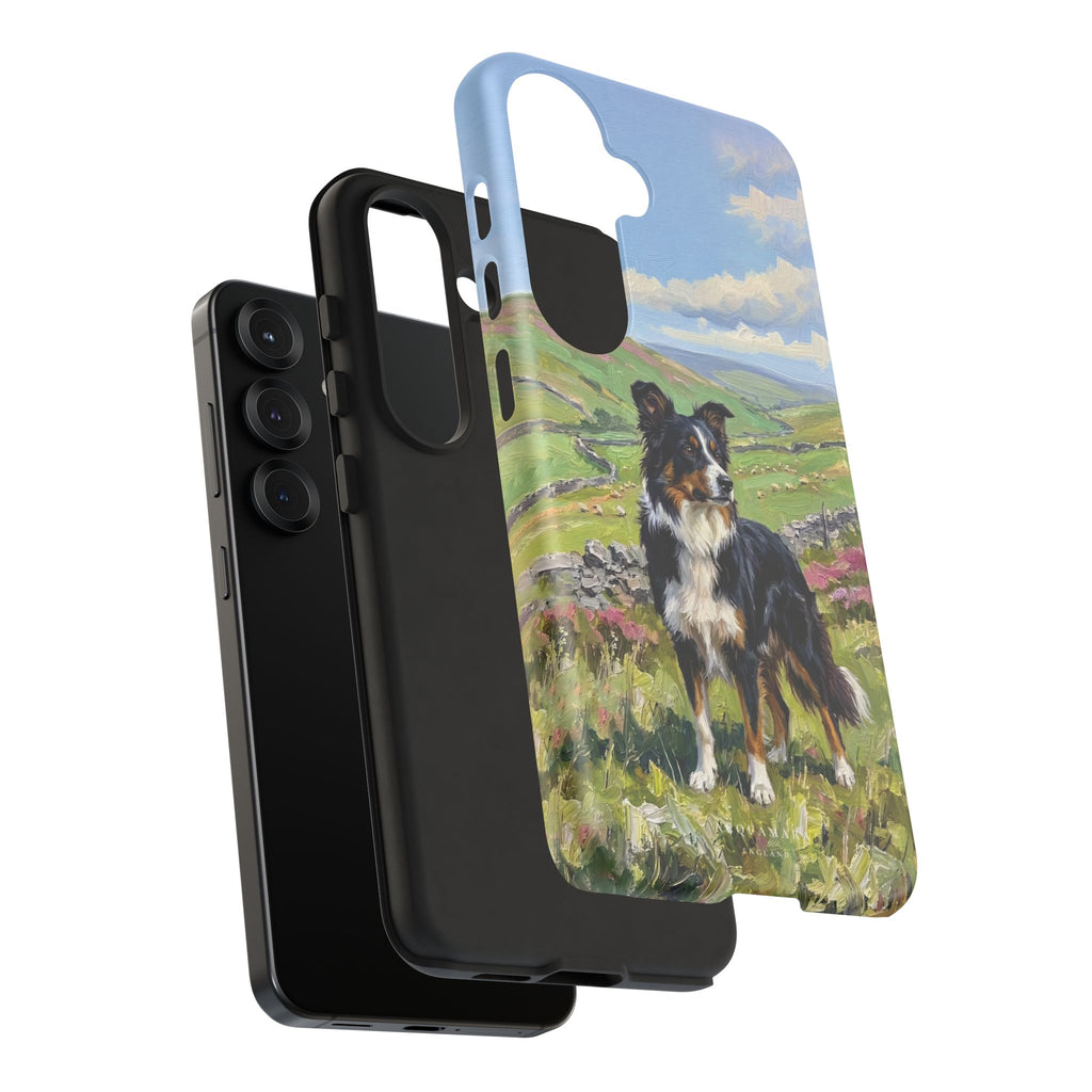 The Border Collie