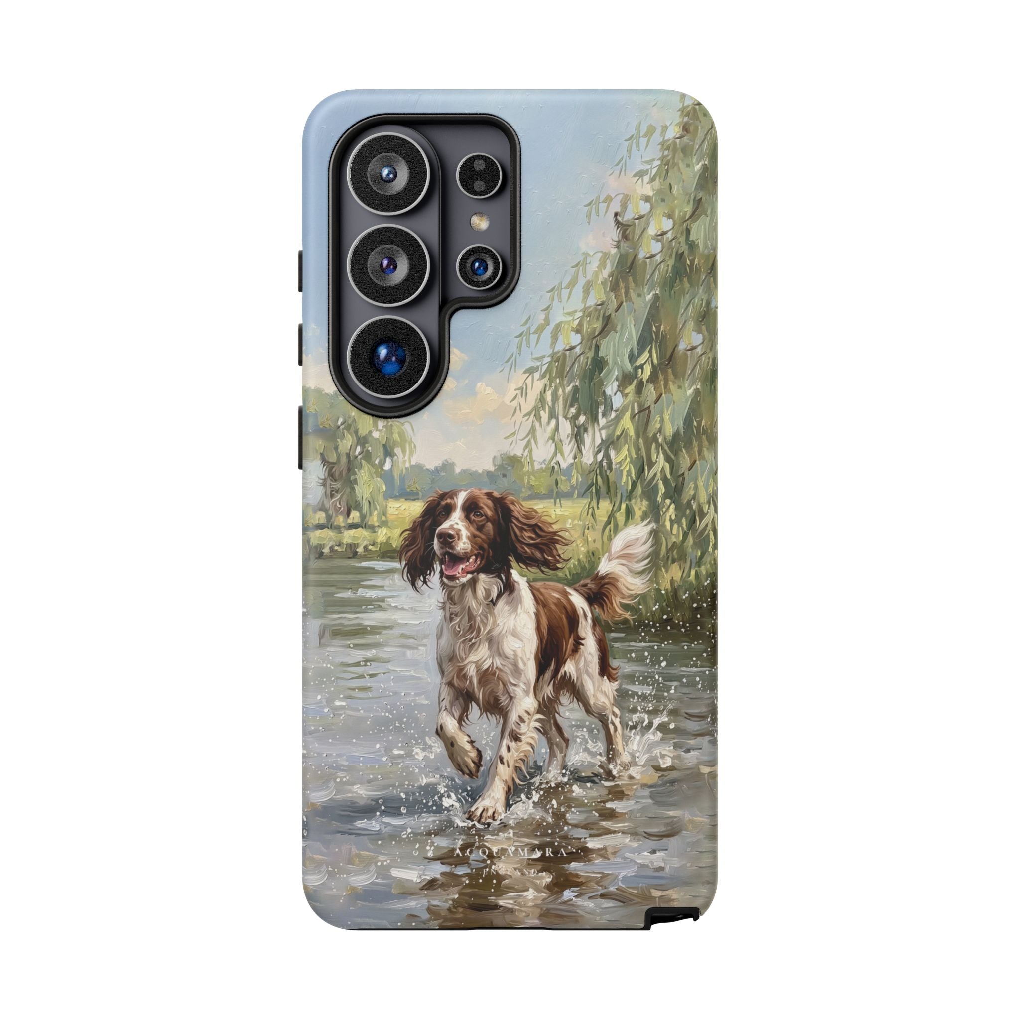 The Springer Spaniel (Liver and White)