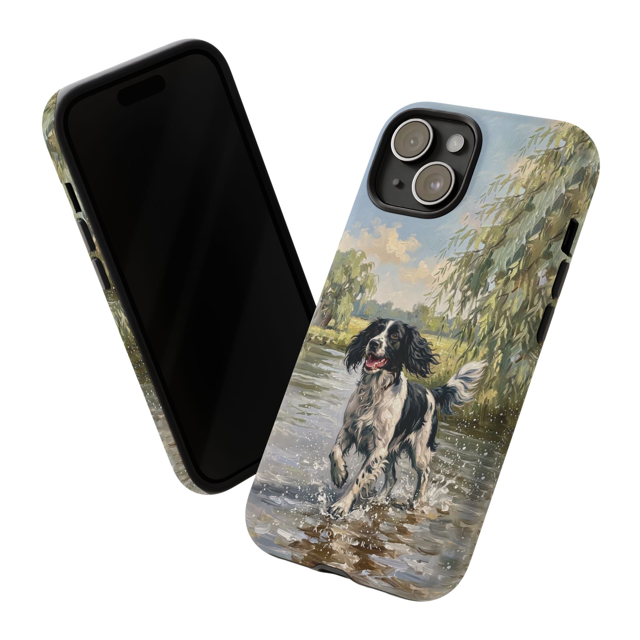 The Springer Spaniel (Black and White)