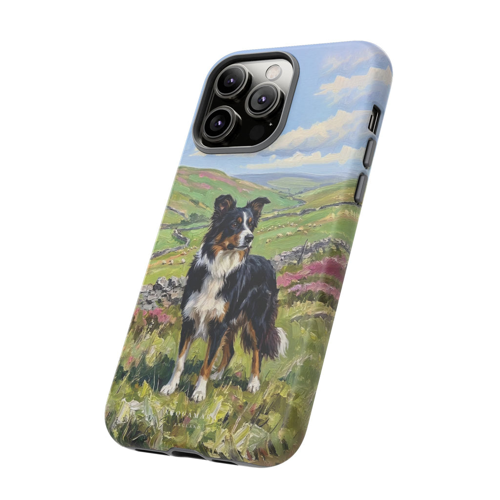 The Border Collie