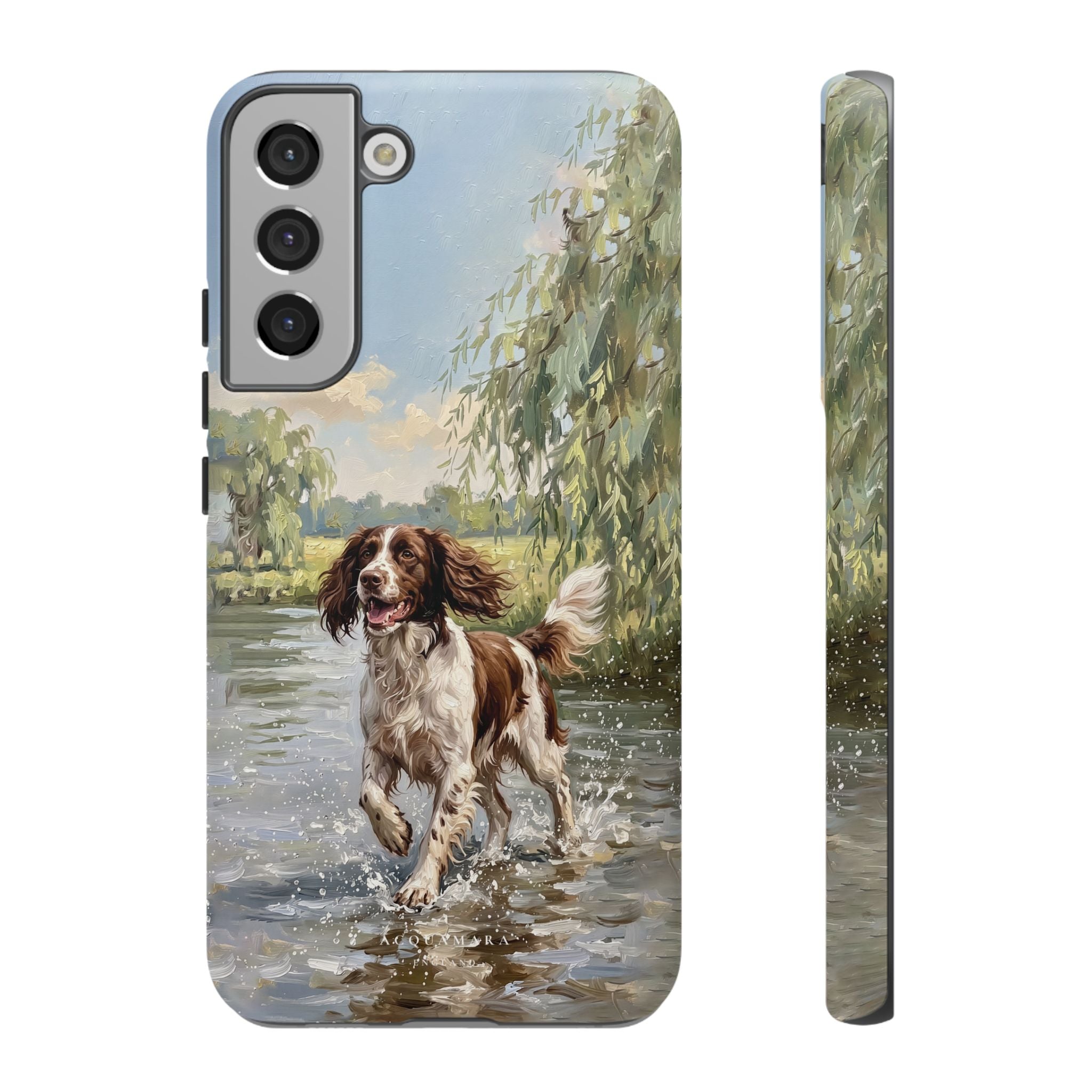 The Springer Spaniel (Liver and White)