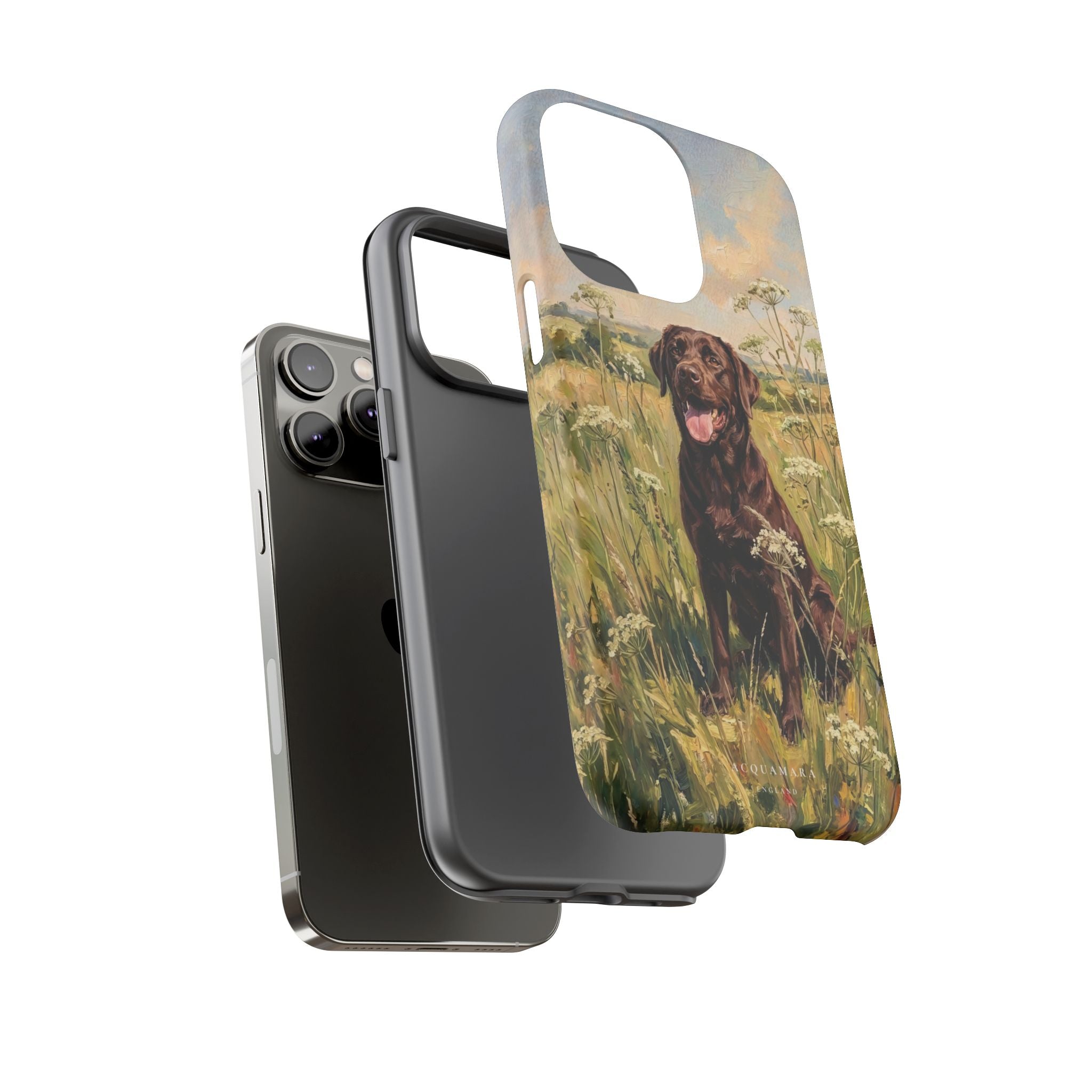 The Labrador (Chocolate)