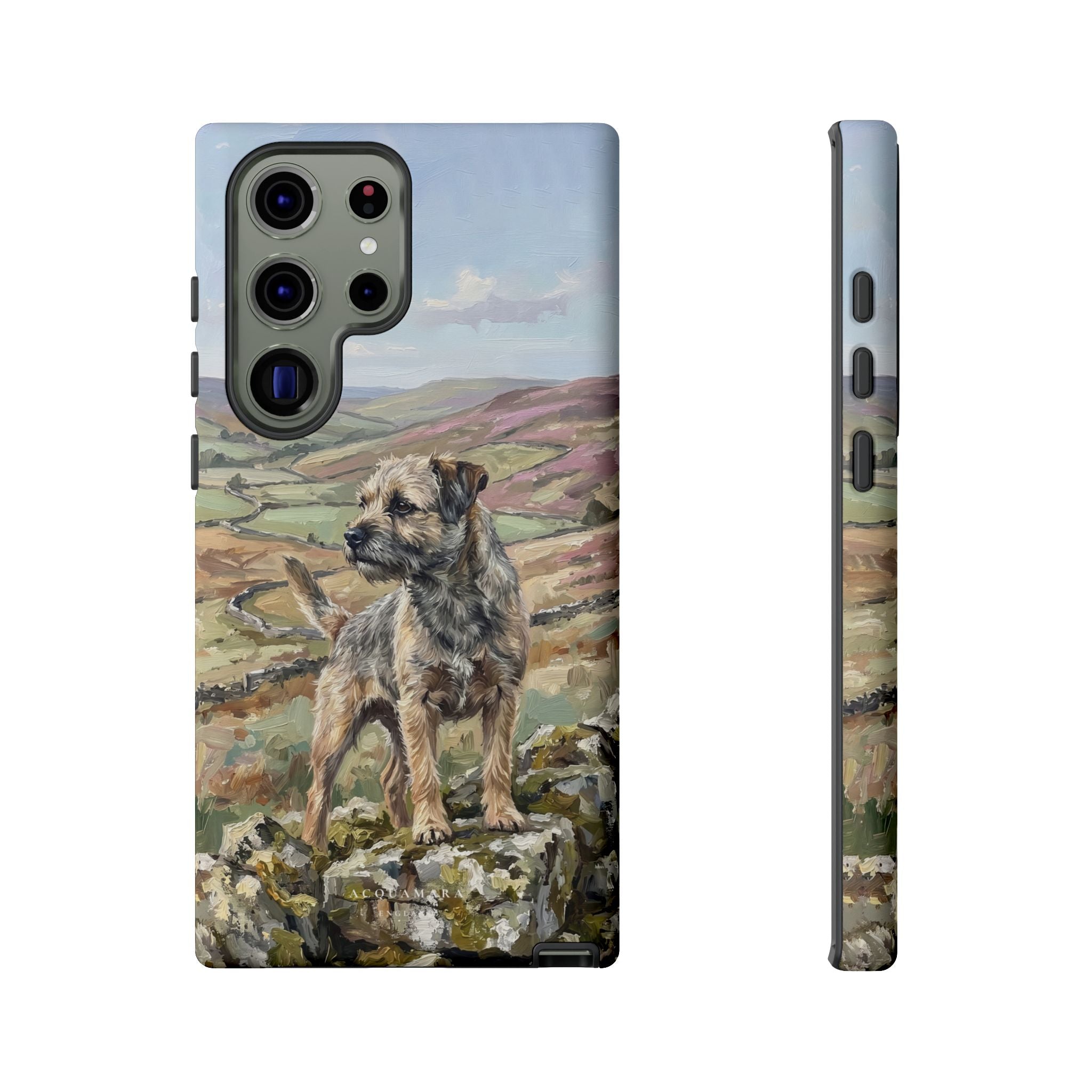 The Border Terrier (Grizzle and Tan)