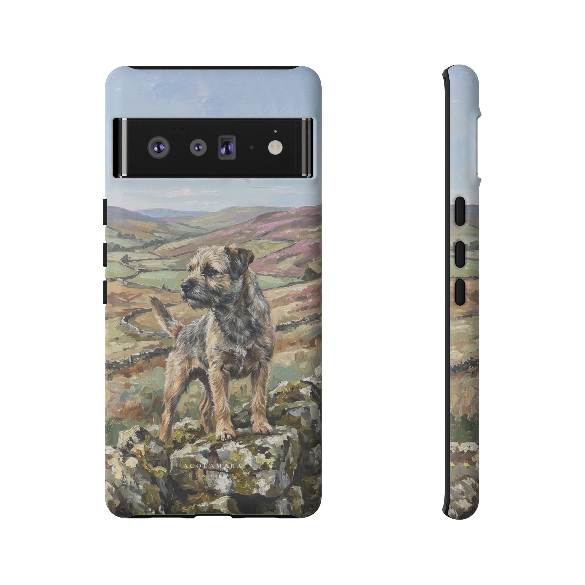 The Border Terrier (Grizzle and Tan)